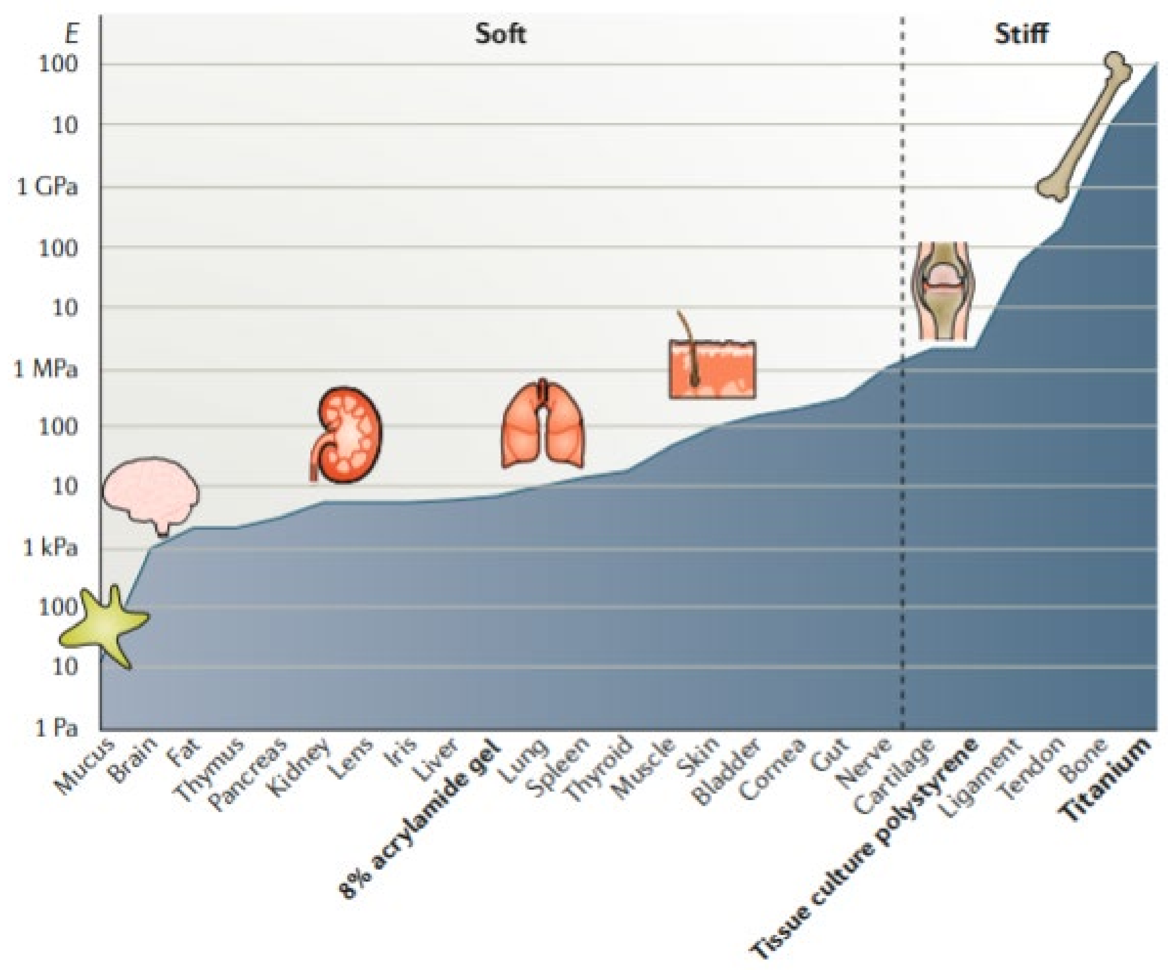 Pharmaceutics 13 01806 g010