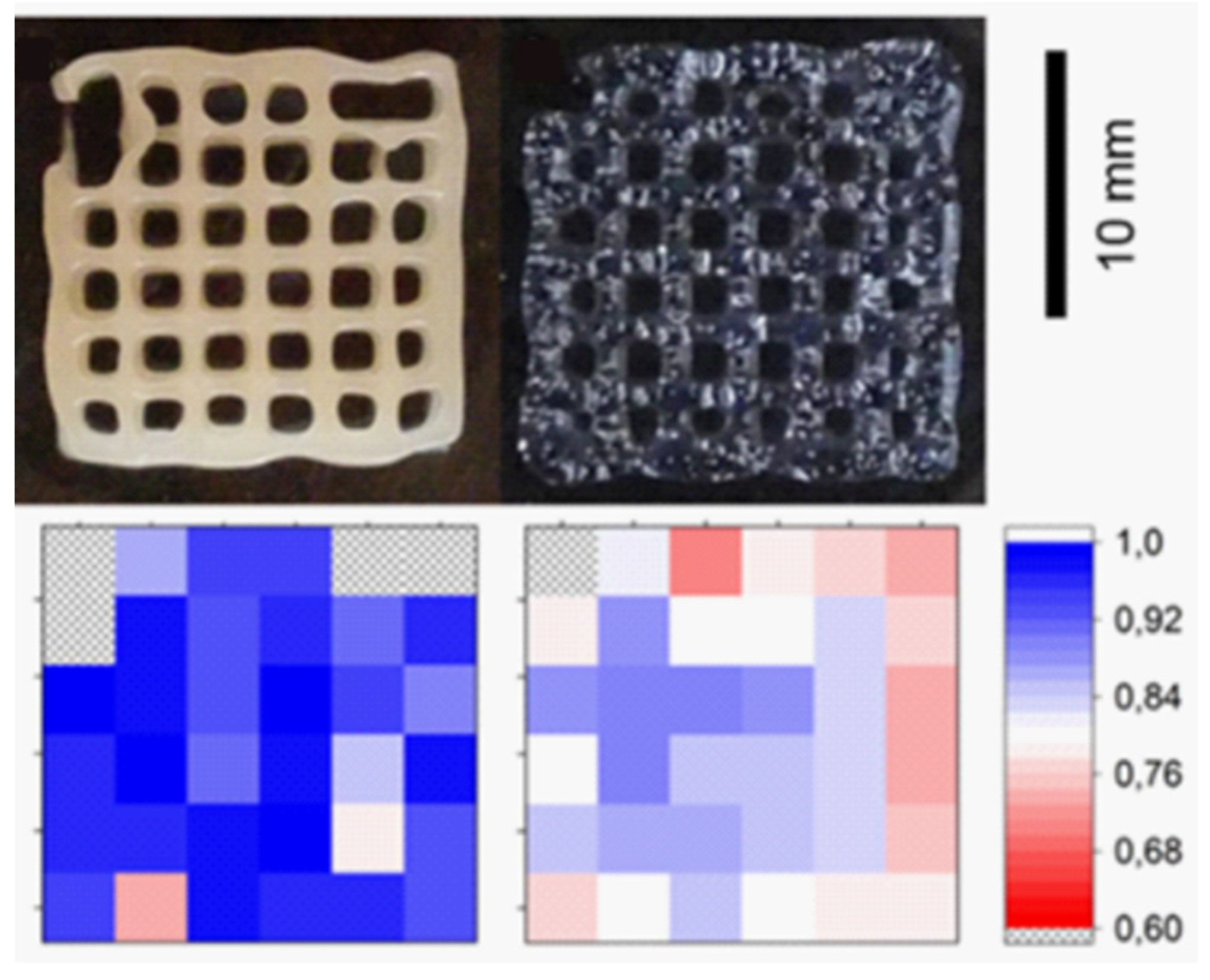 Pharmaceutics 13 01806 g011