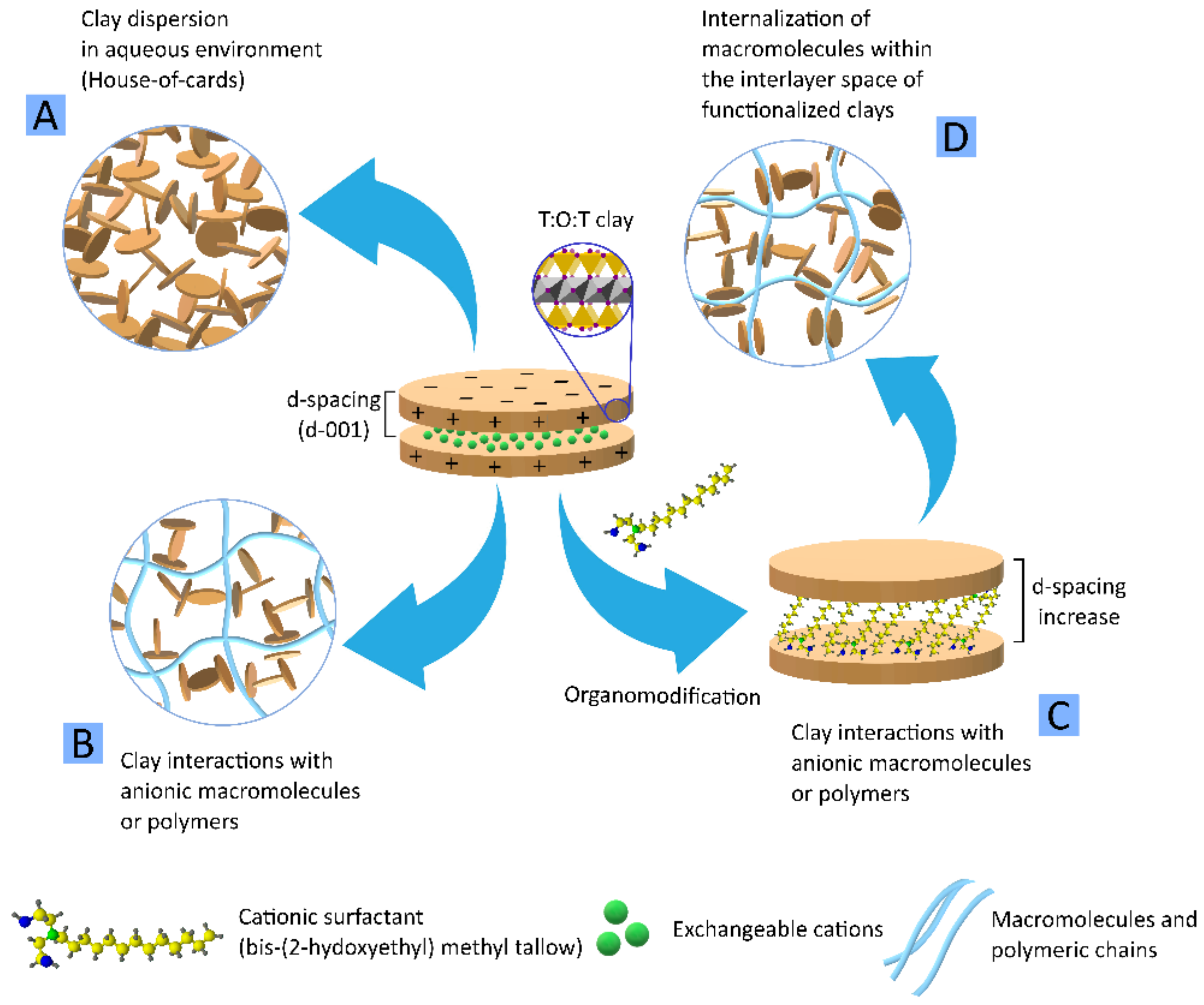 Pharmaceutics 13 01806 g012