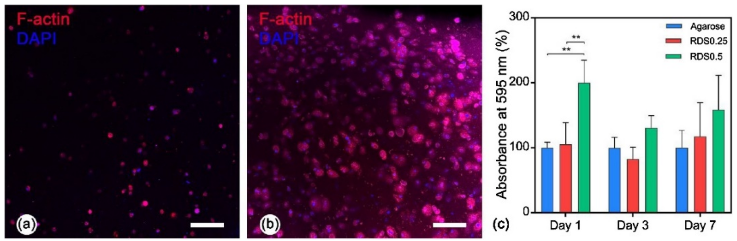 Pharmaceutics 13 01806 g016