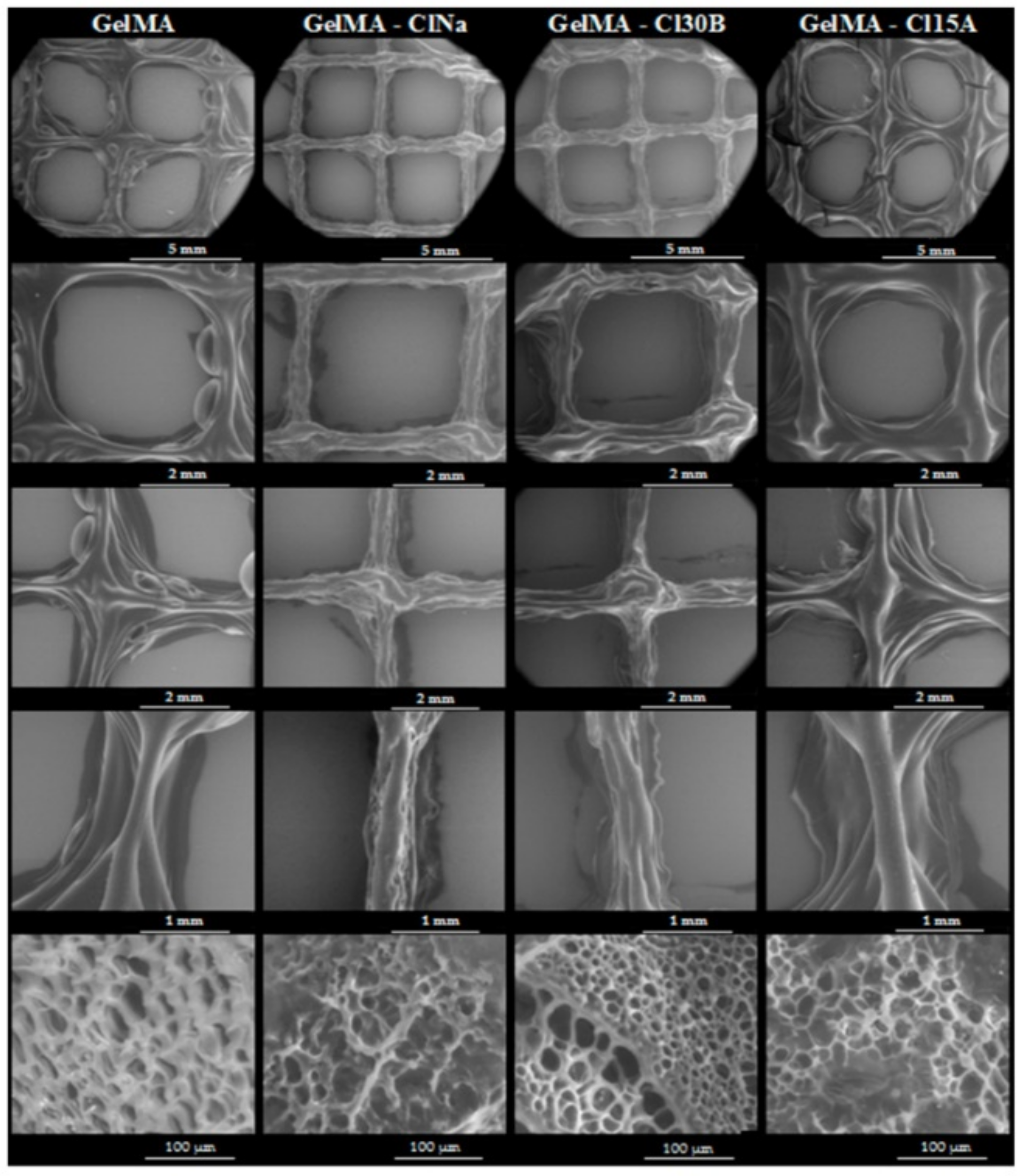 Pharmaceutics 13 01806 g017