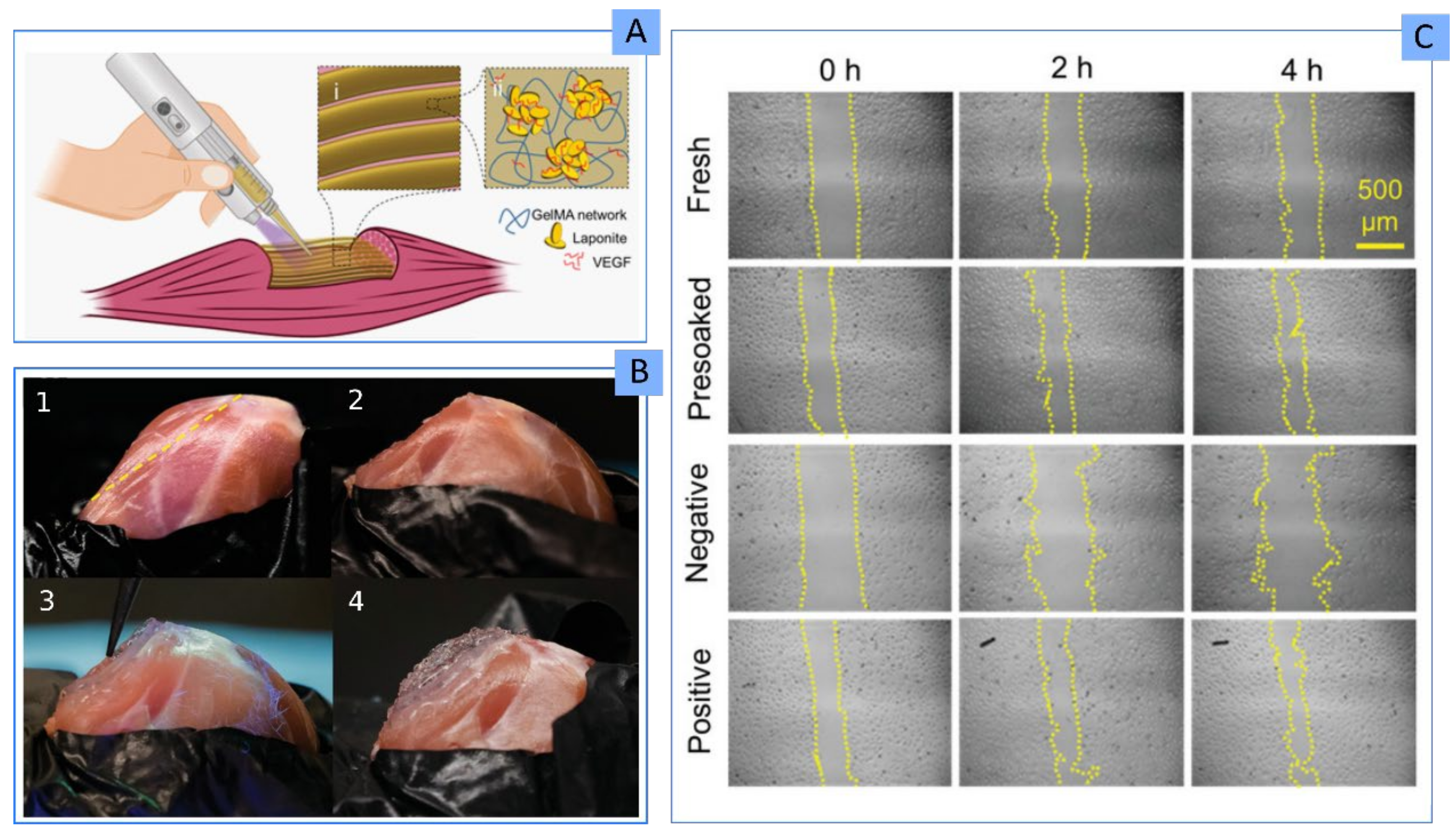 Pharmaceutics 13 01806 g021