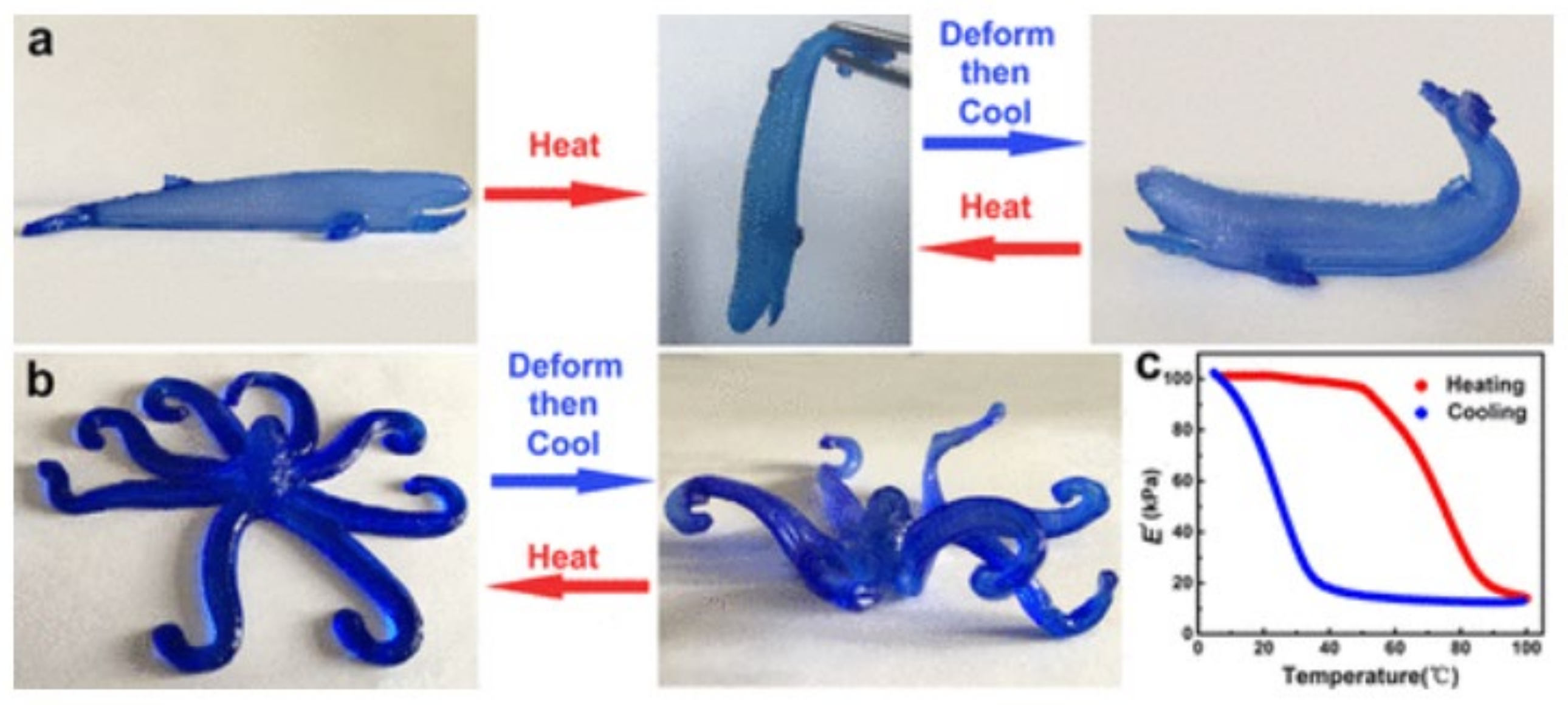 Pharmaceutics 13 01806 g023