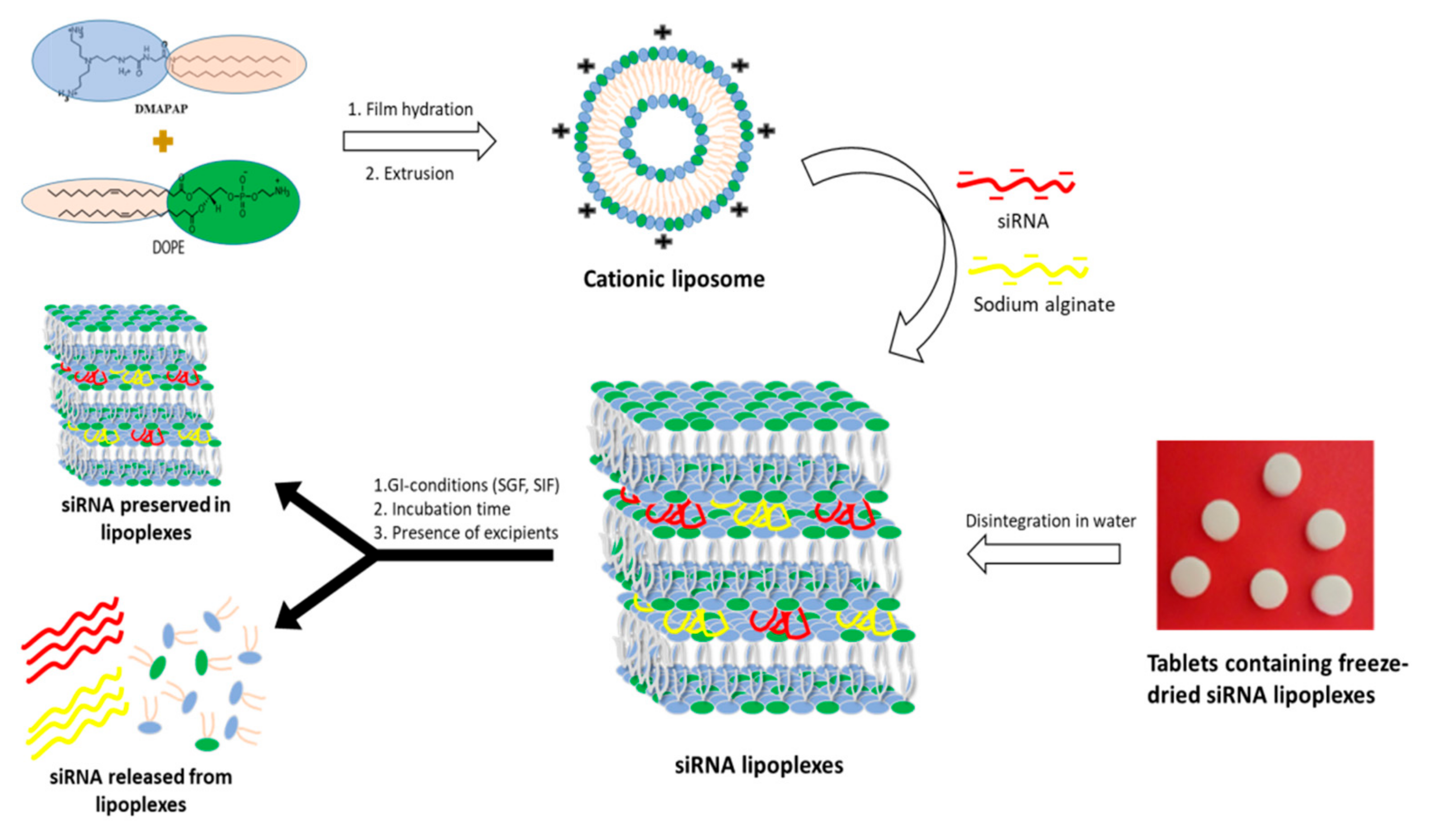 Pharmaceutics 13 01807 g001 550