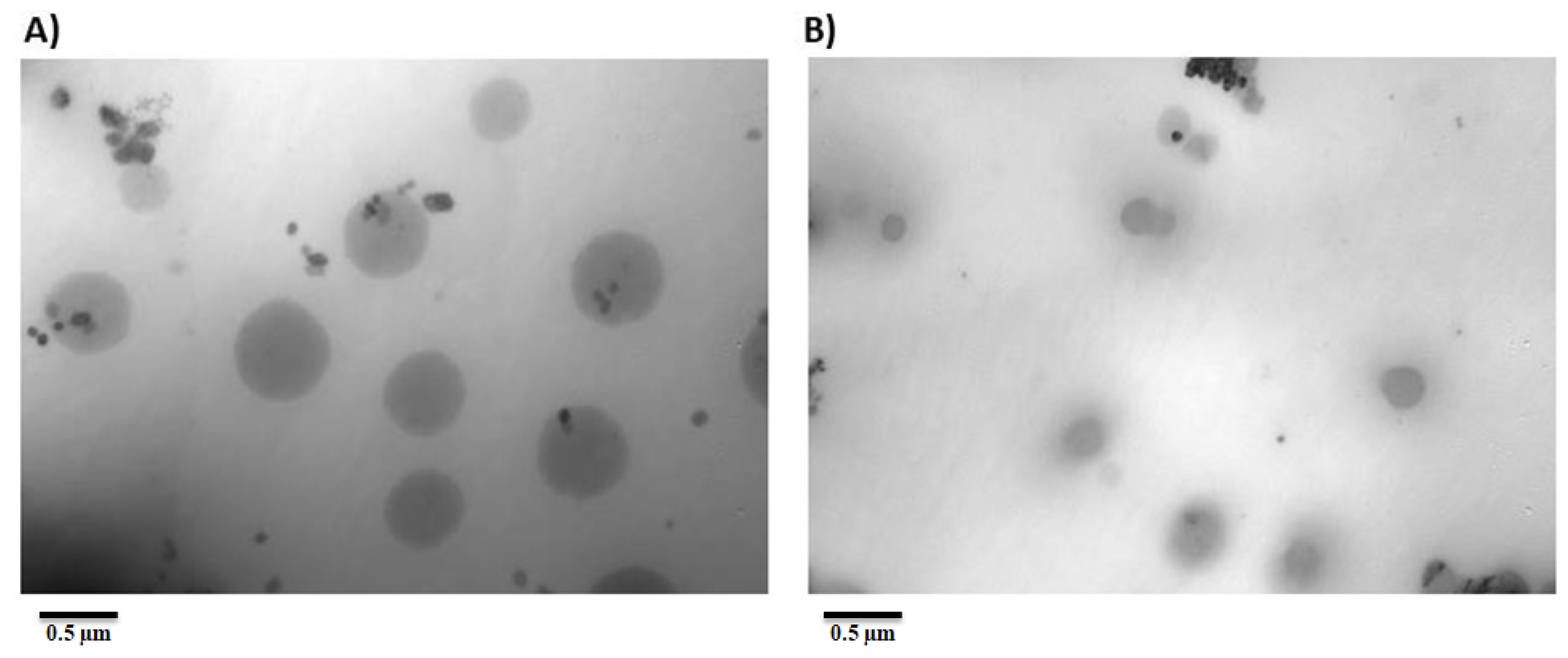 Pharmaceutics 13 01812 g004