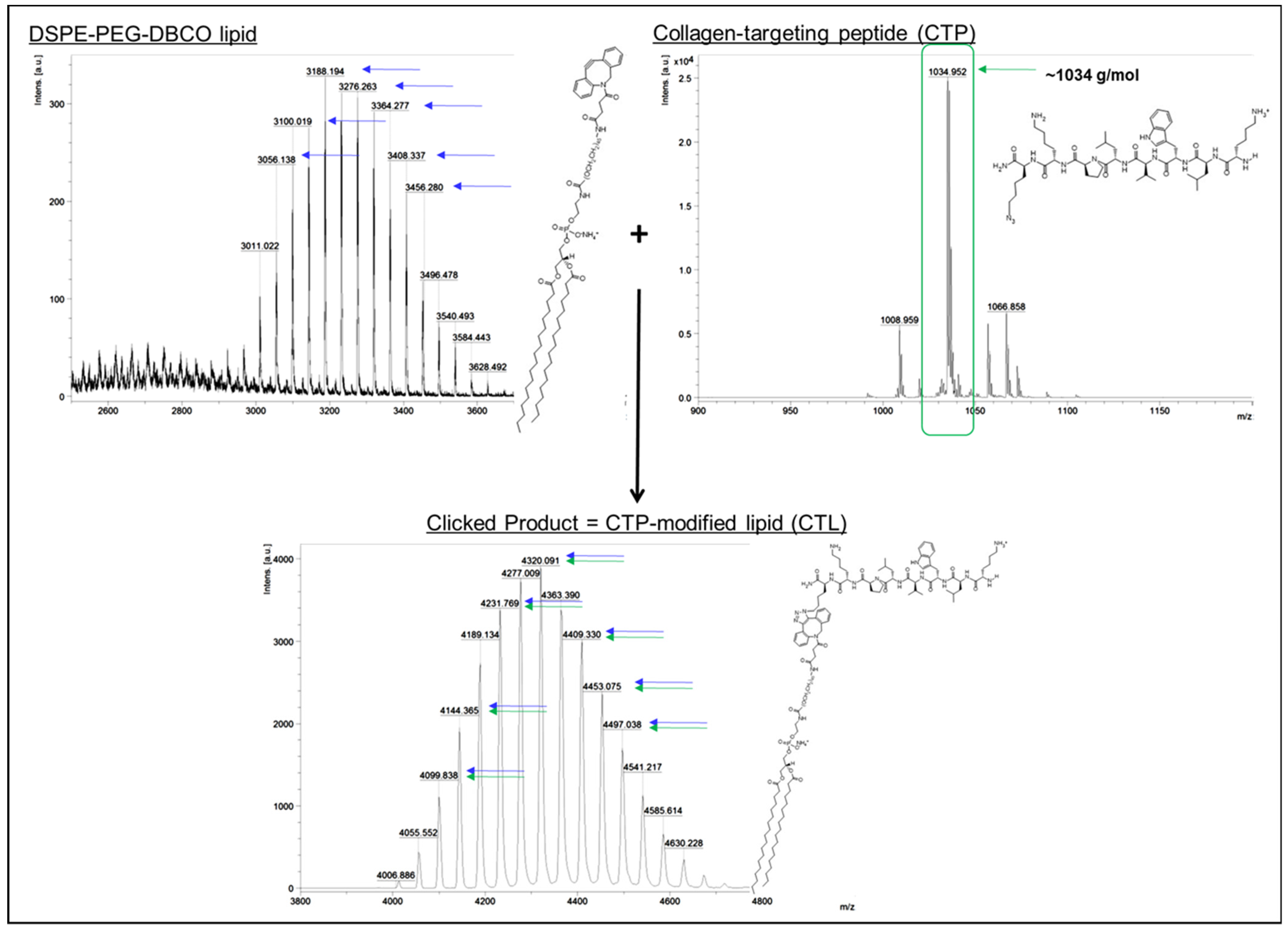 Pharmaceutics 13 01816 g001