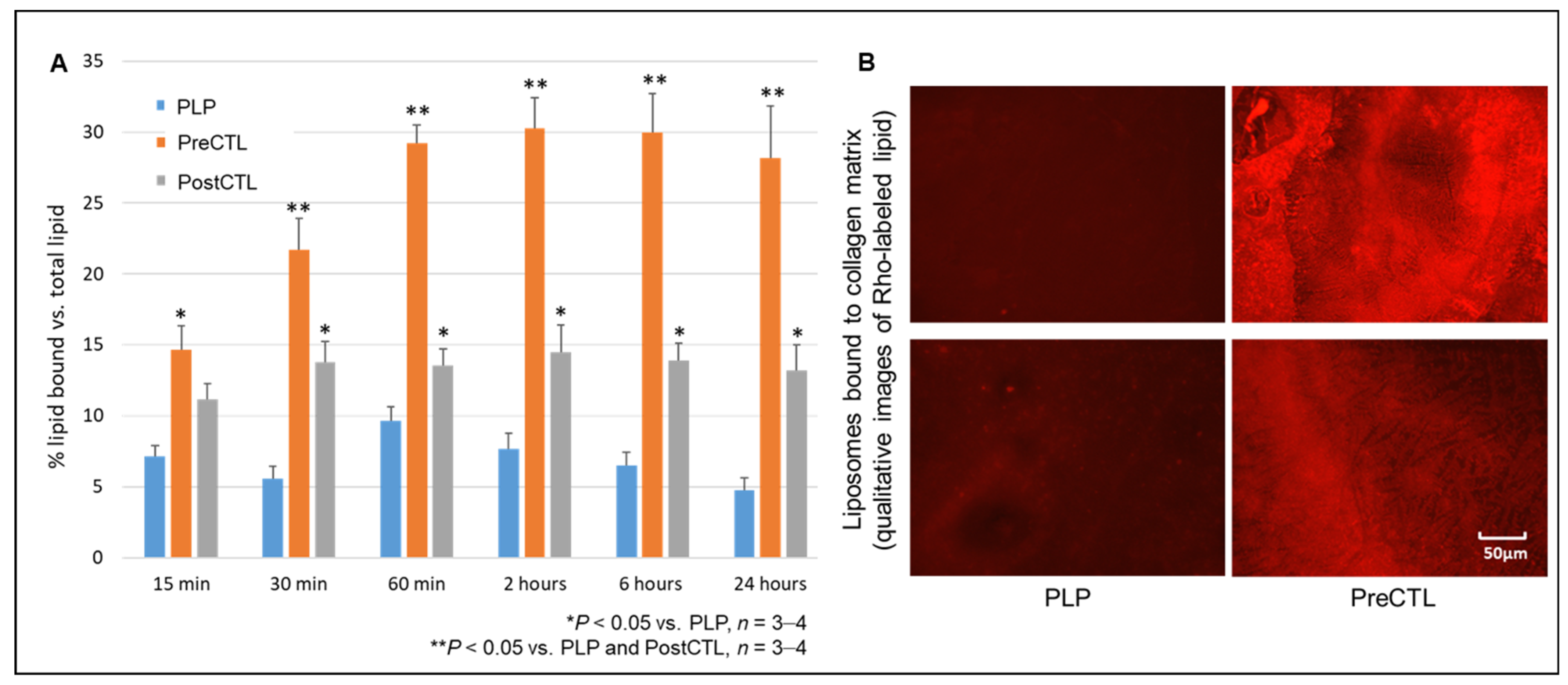 Pharmaceutics 13 01816 g006