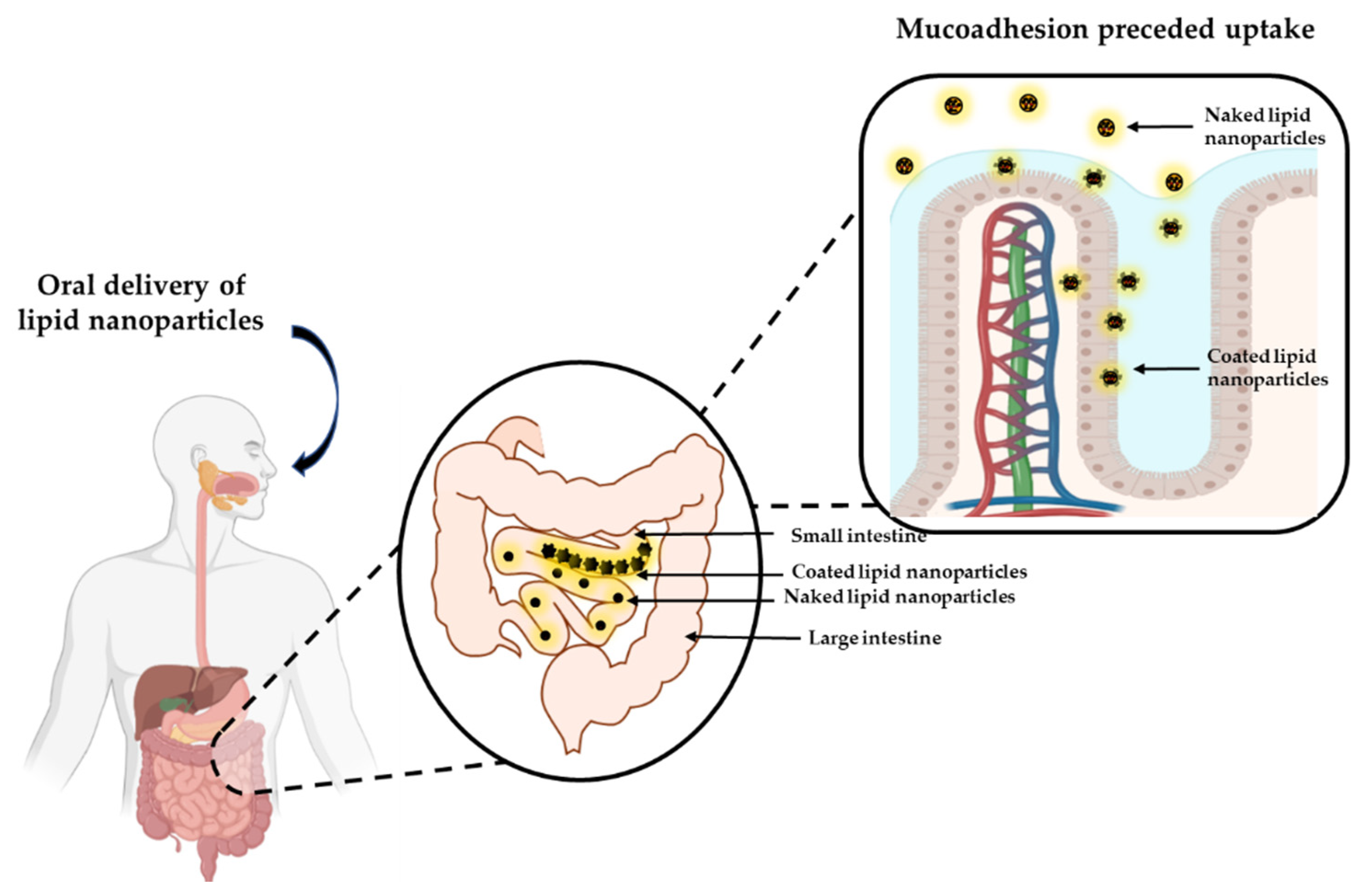 Pharmaceutics 13 01817 g002 Pharmaceutics 13 01817 g002