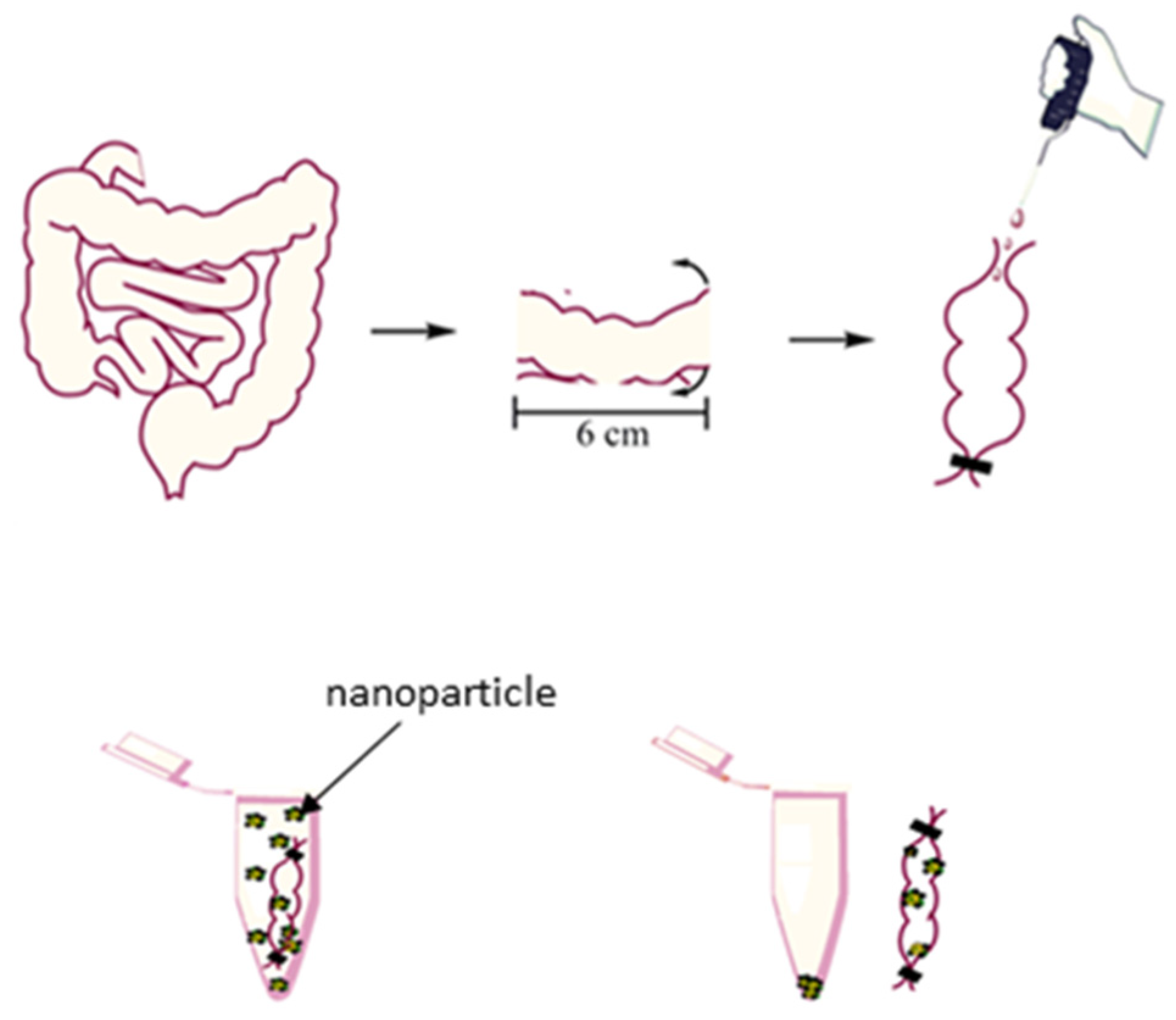 Pharmaceutics 13 01817 g003 Pharmaceutics 13 01817 g003