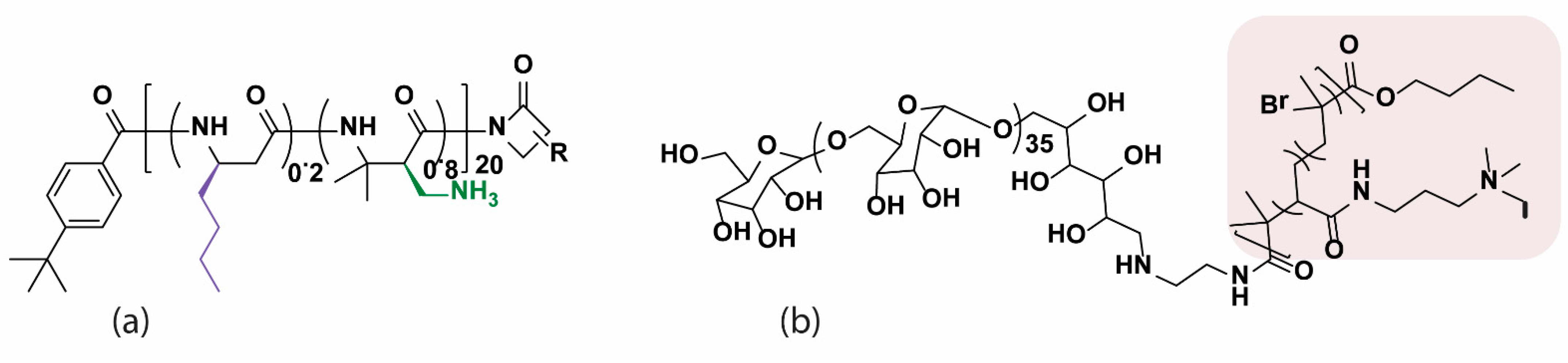 Pharmaceutics 13 01820 g007 550