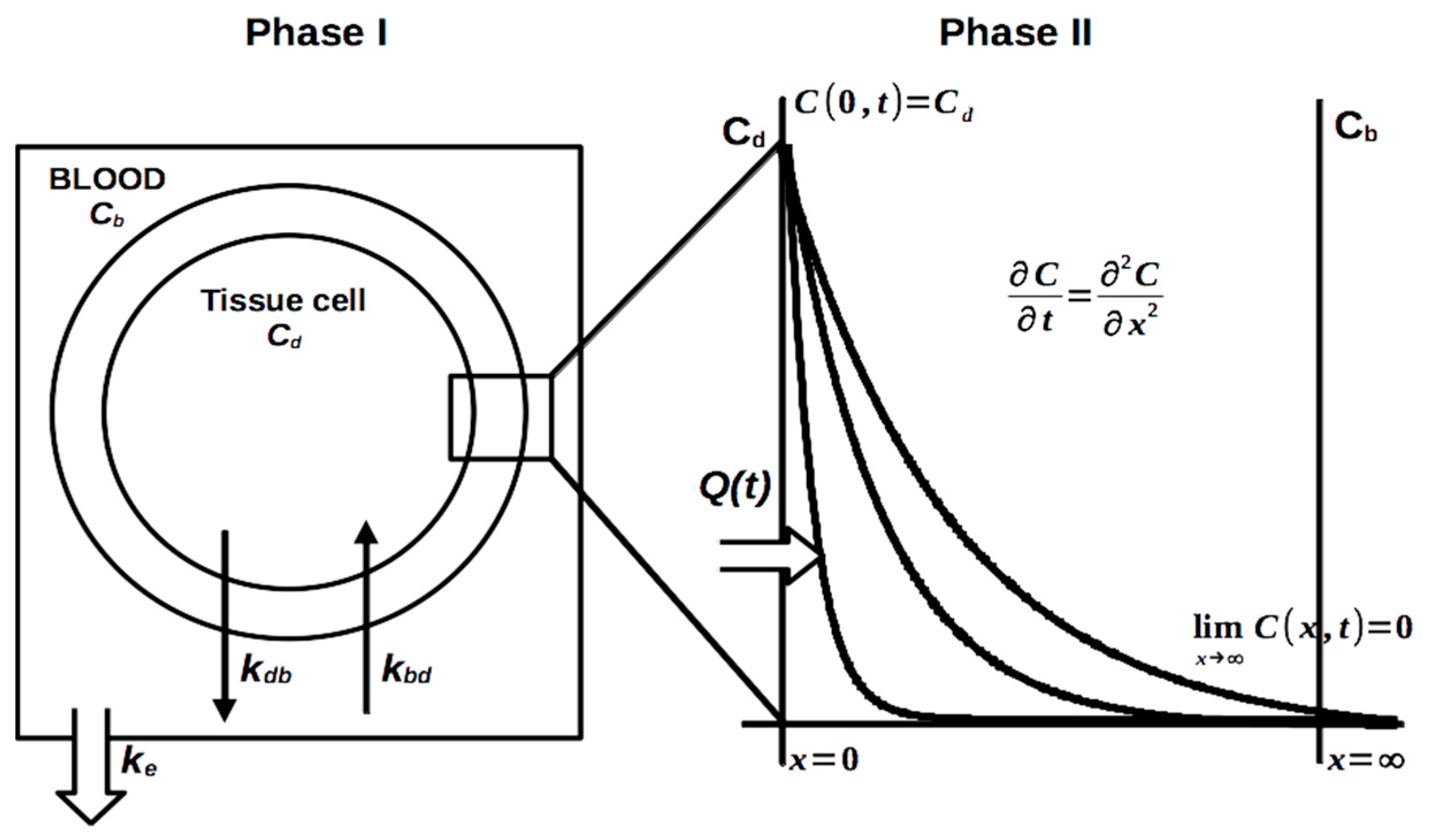 Pharmaceutics 13 01830 g007 550