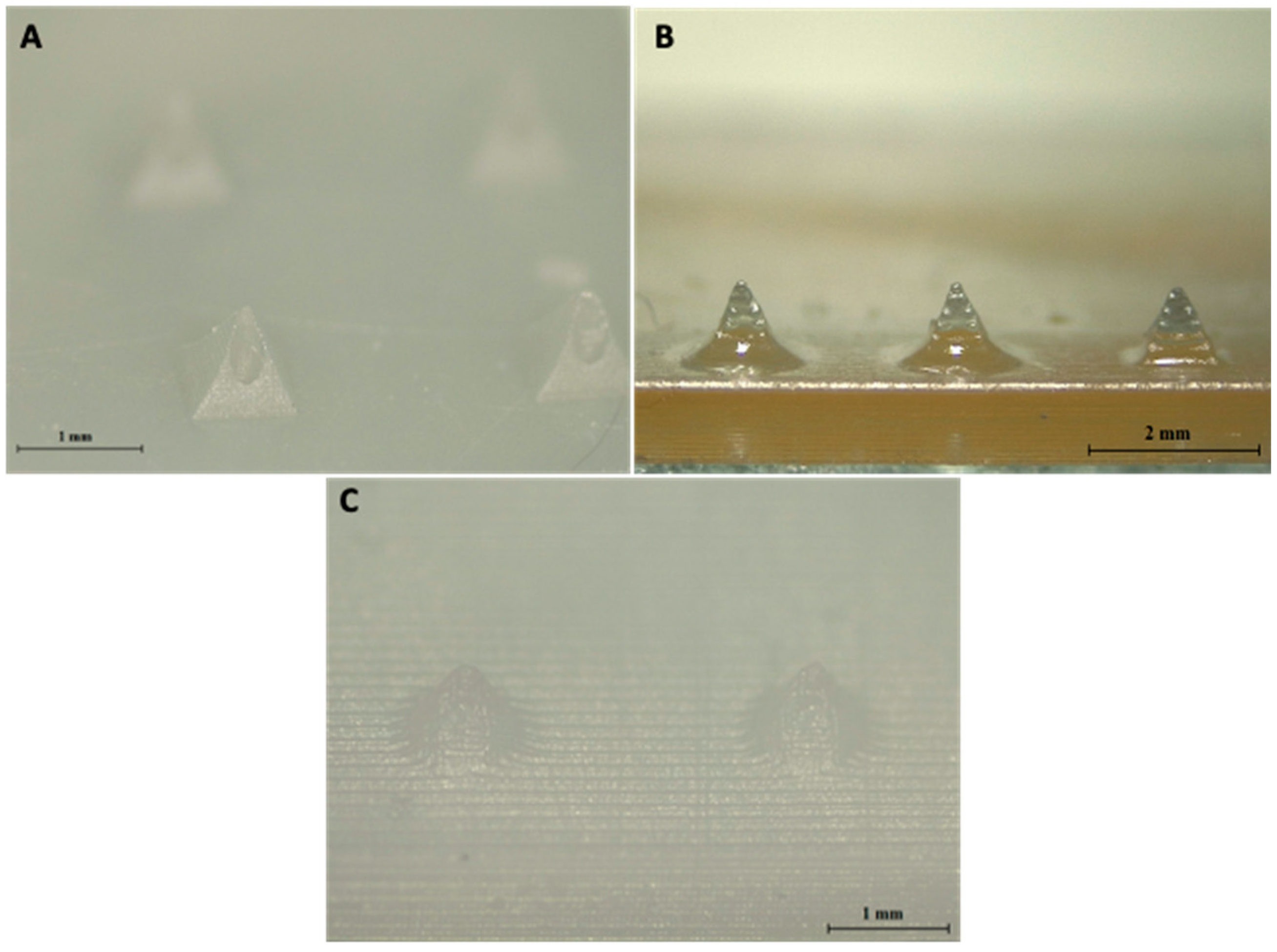 Pharmaceutics 13 01837 g003 550