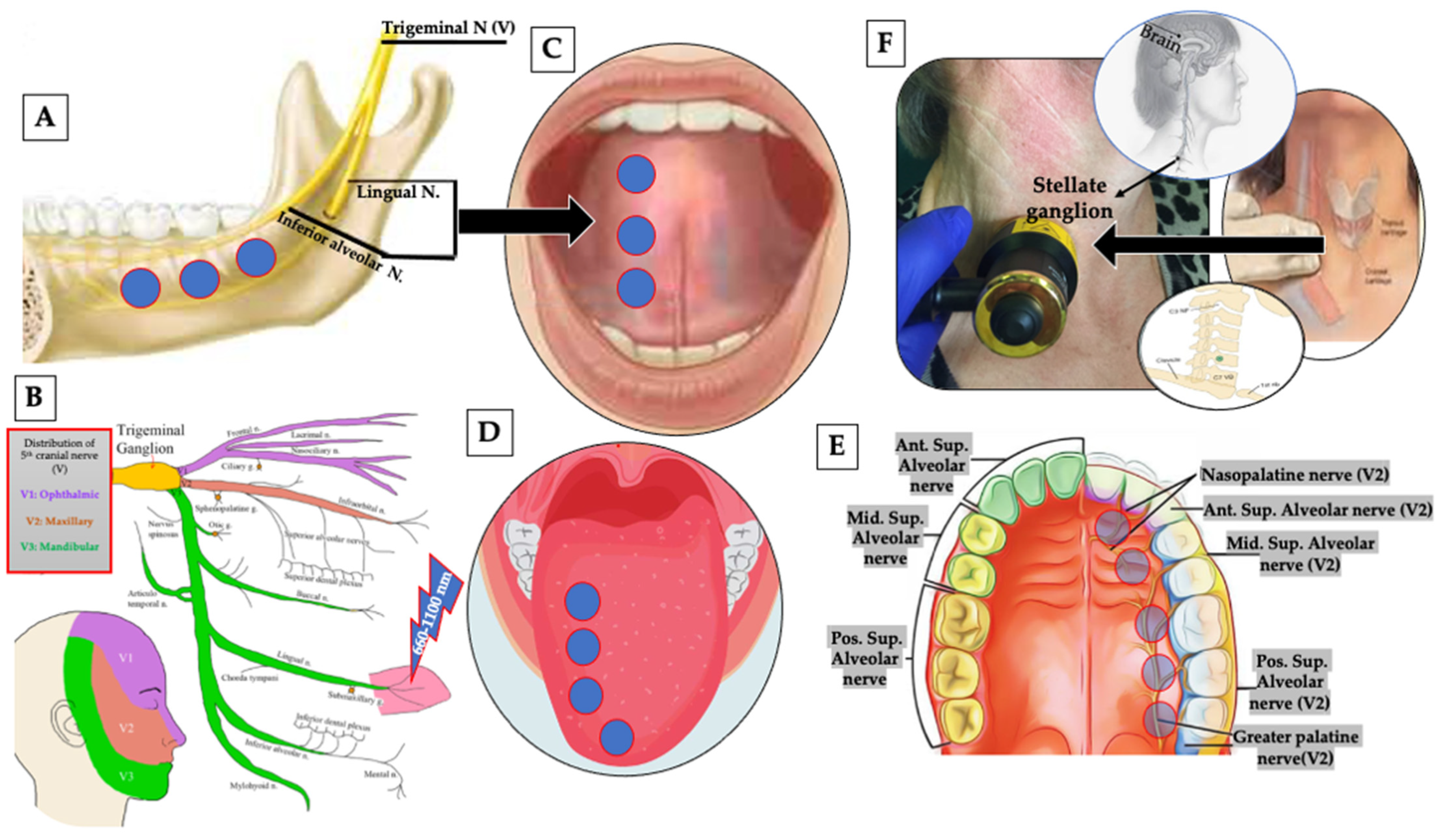 Pharmaceutics 13 01838 g010