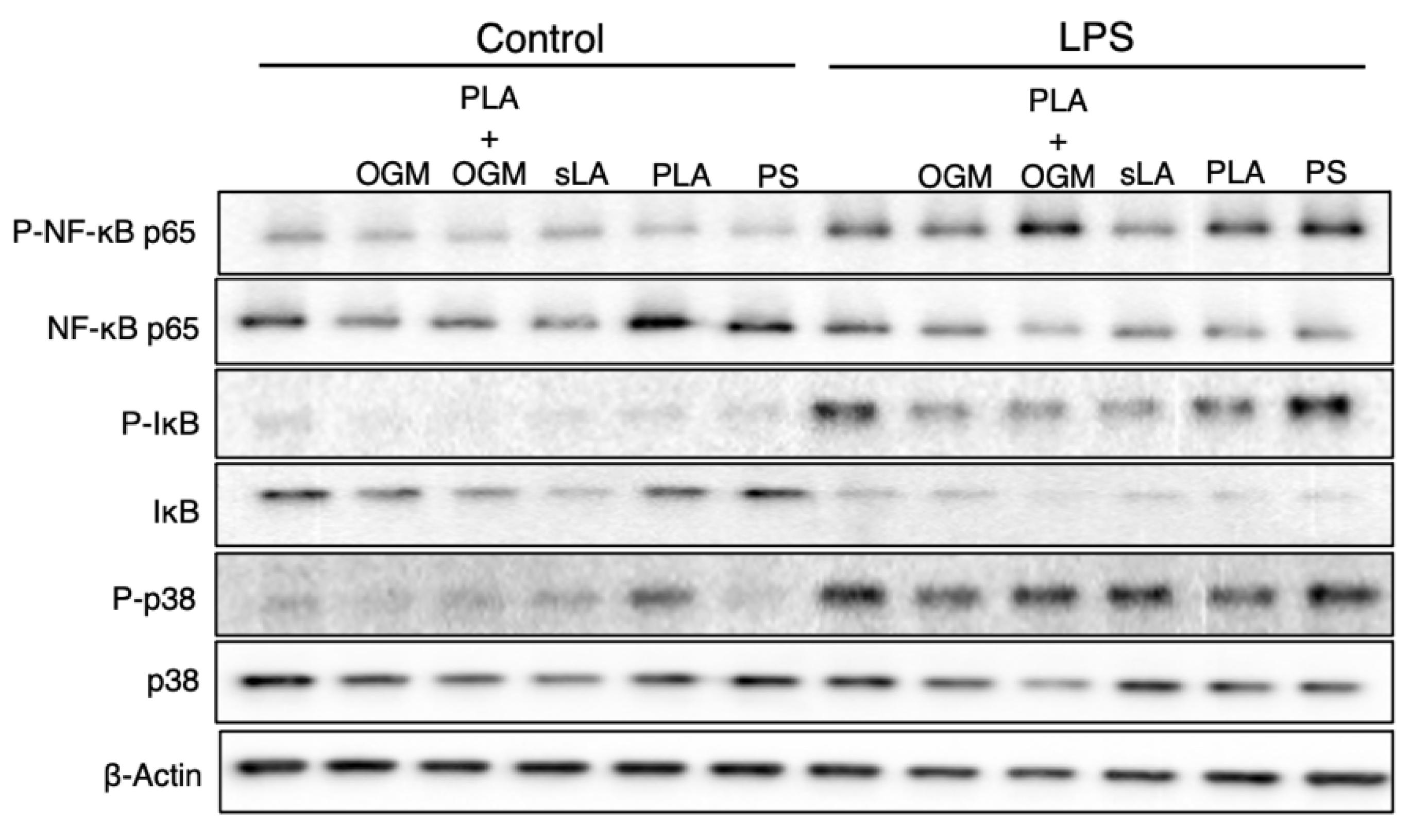 Pharmaceutics 13 01841 g007 550