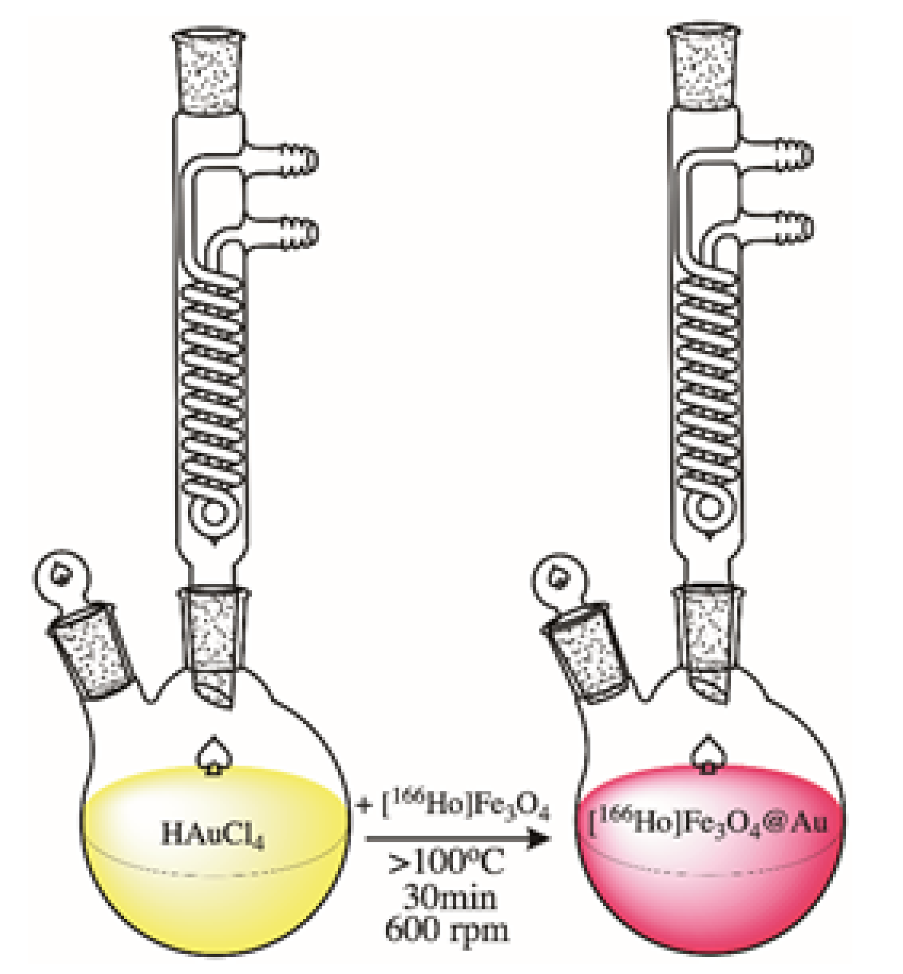Pharmaceutics 13 01843 g002