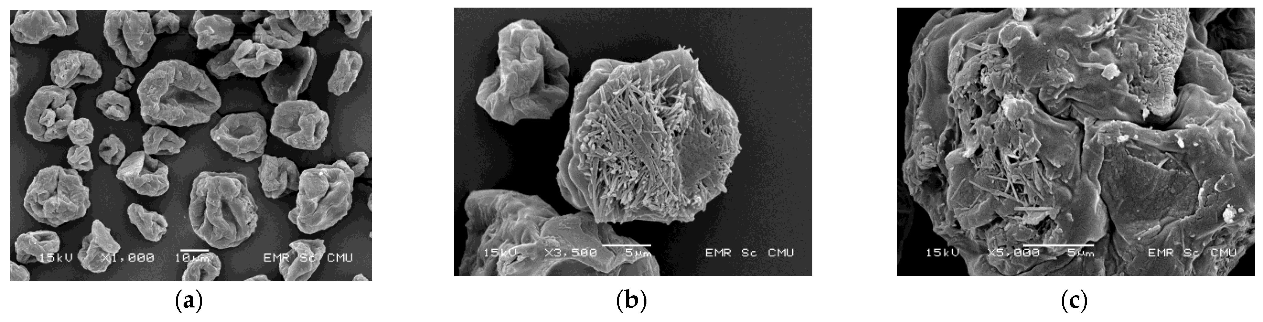 Pharmaceutics 13 01844 g004