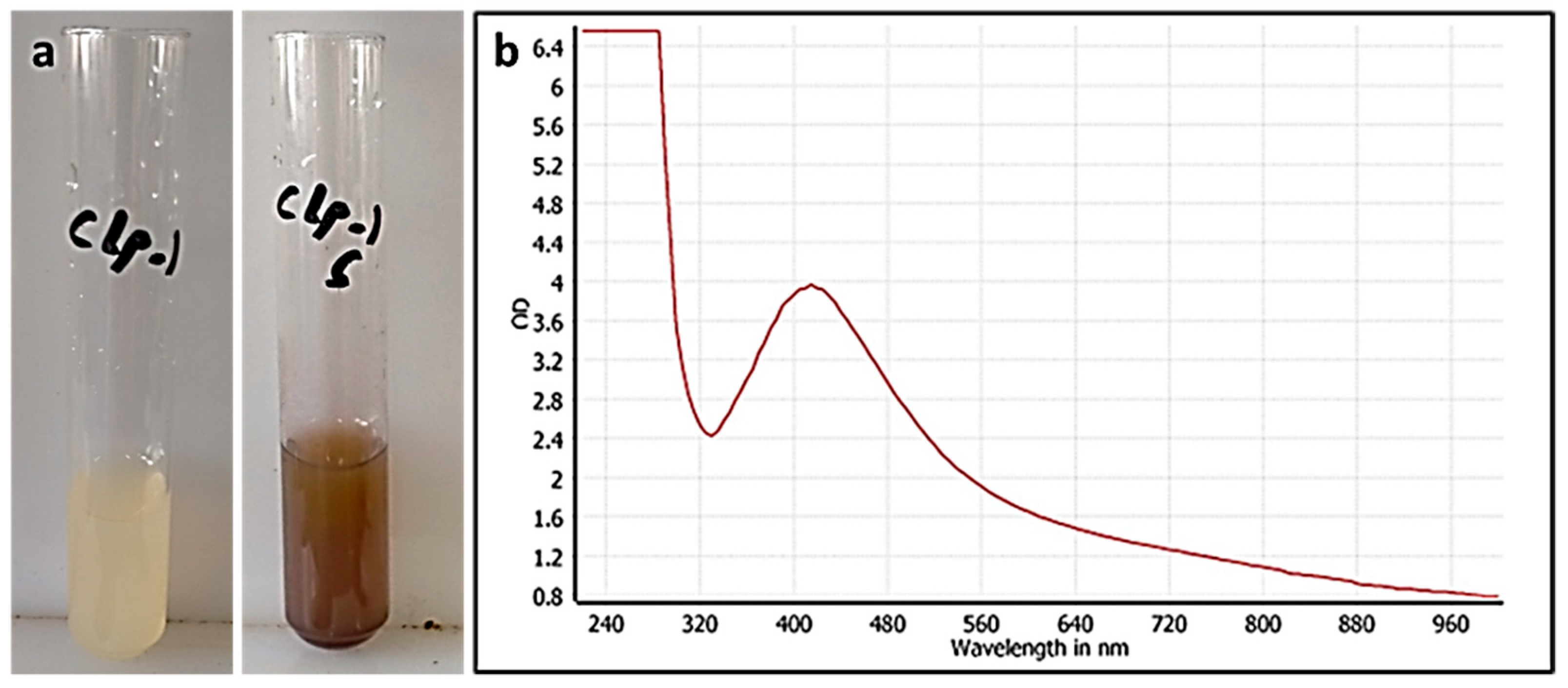 Pharmaceutics 13 01846 g002 550