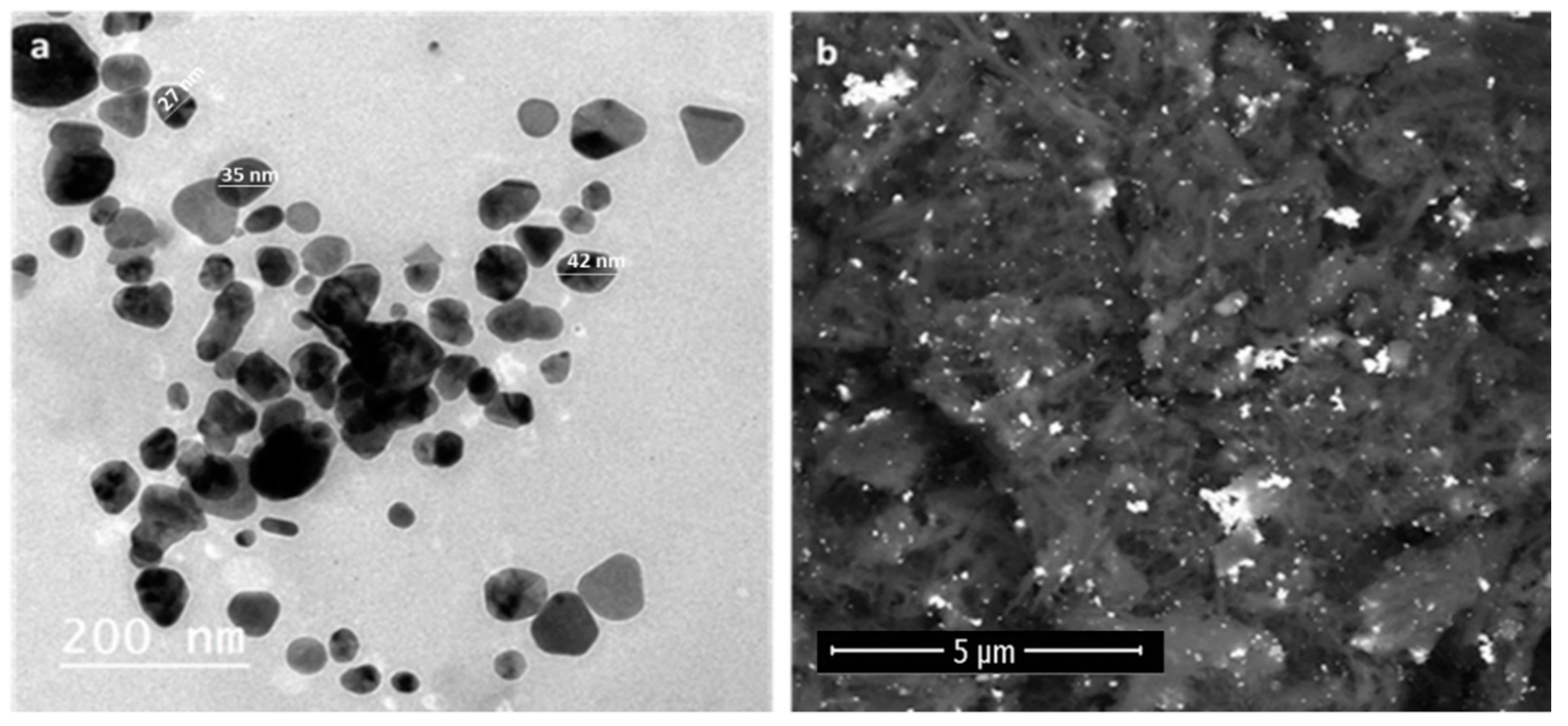 Pharmaceutics 13 01846 g003 550
