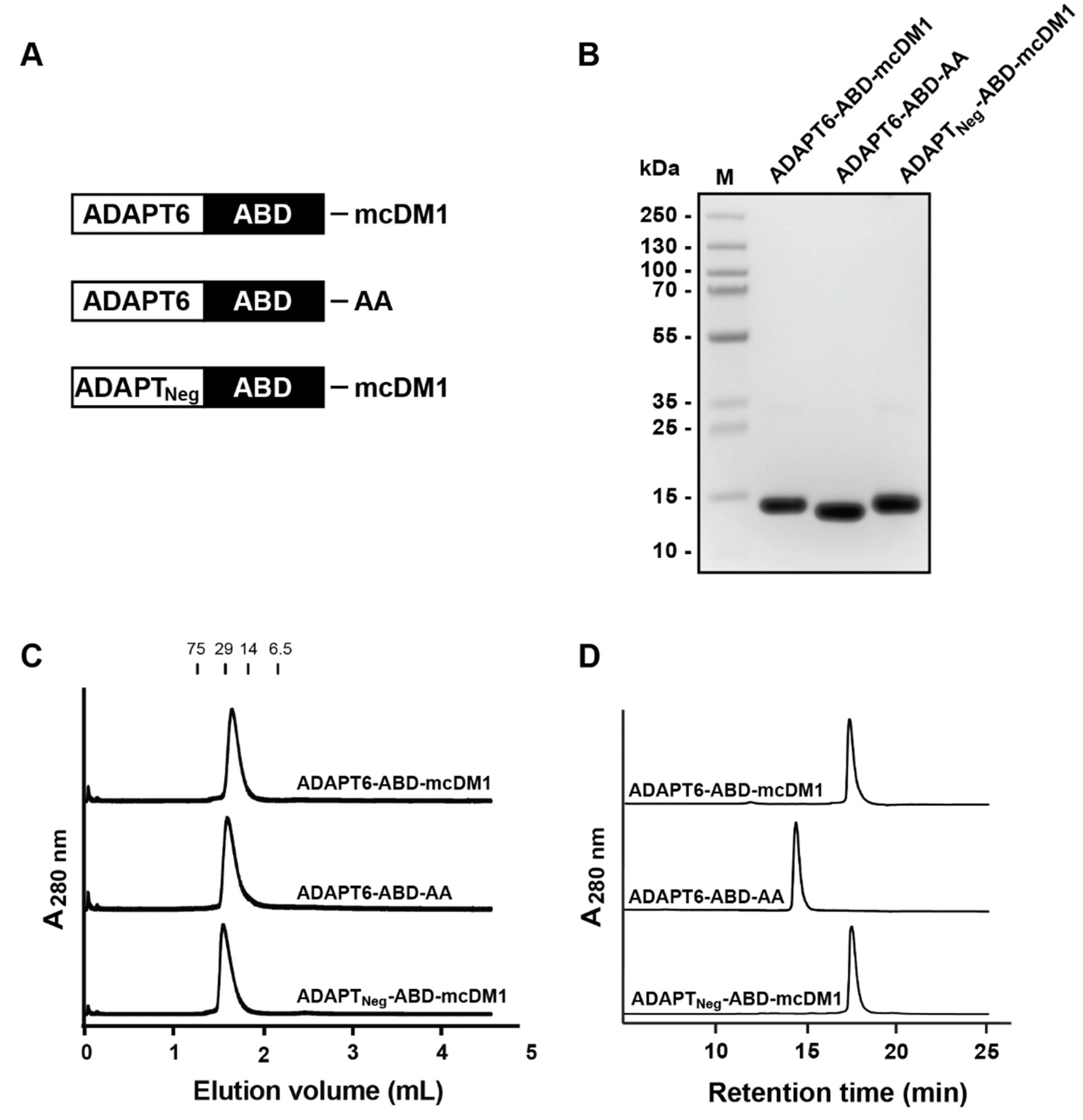 Pharmaceutics 13 01847 g001 550