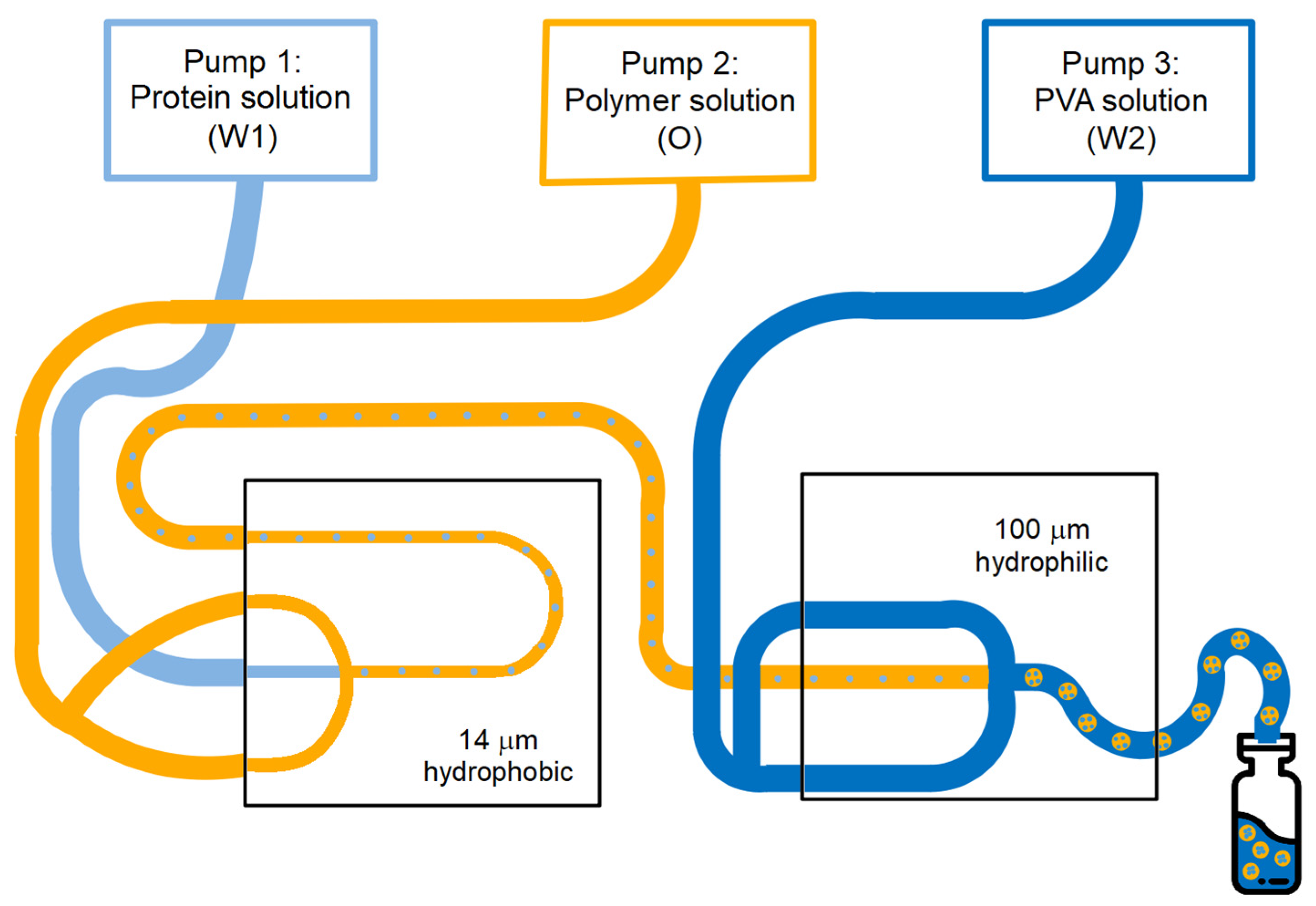 Pharmaceutics 13 01854 g001