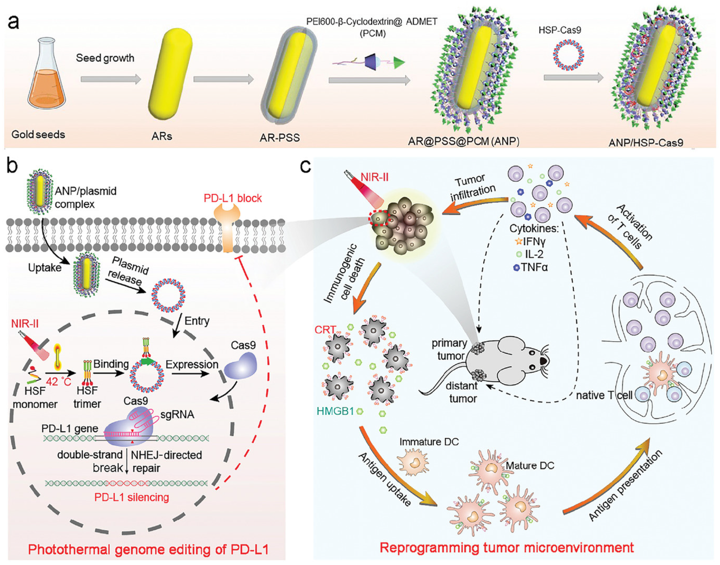 Pharmaceutics 13 01867 g008