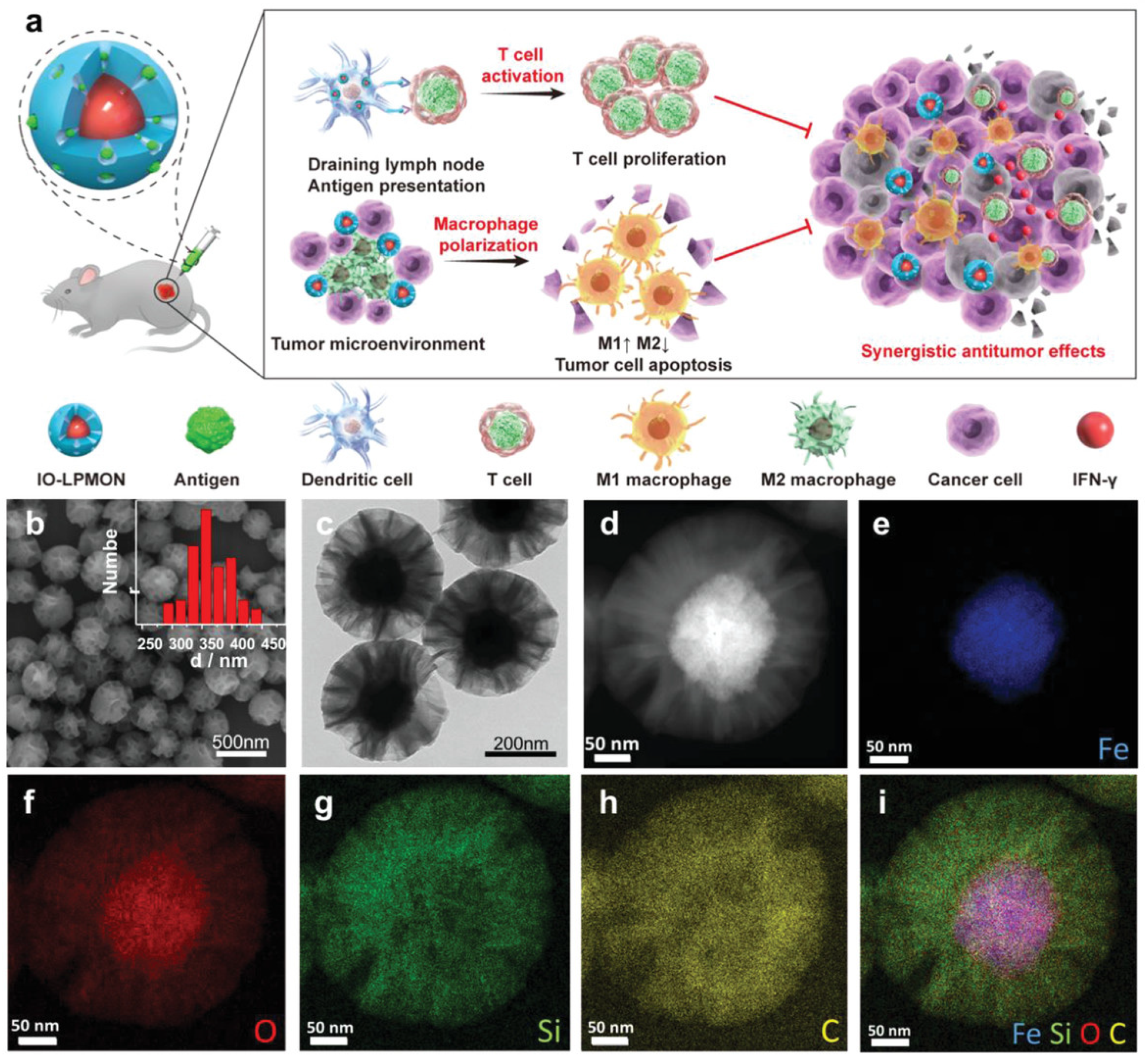 Pharmaceutics 13 01867 g009