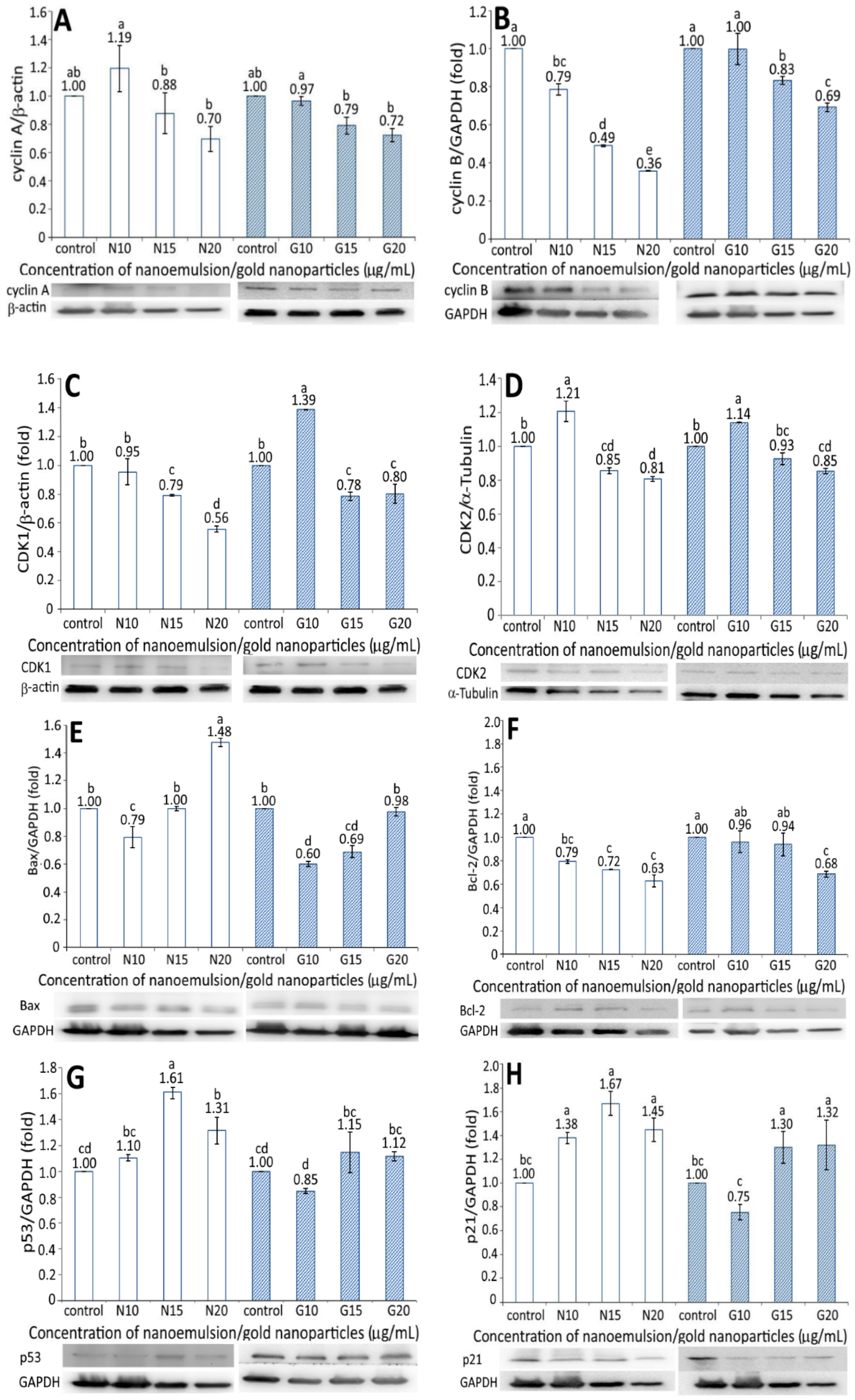 Pharmaceutics 13 01871 g006a