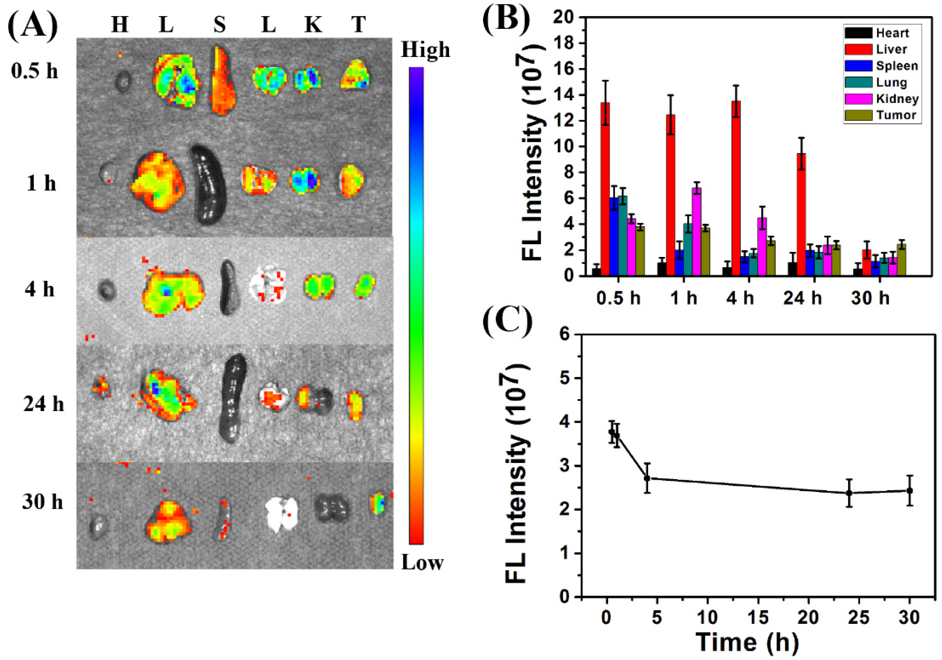 Pharmaceutics 13 01872 g006