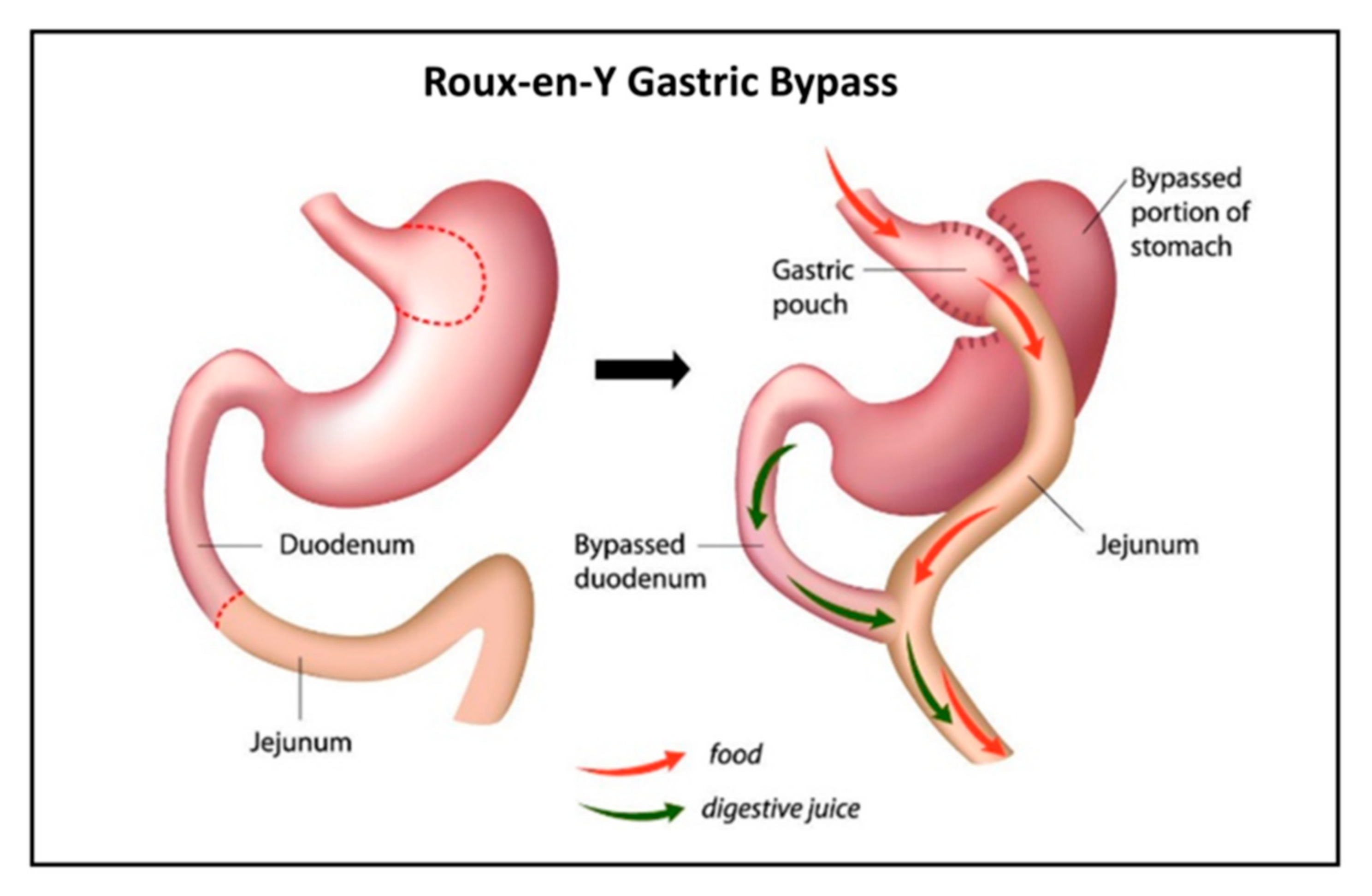 Pharmaceutics 13 01873 g001