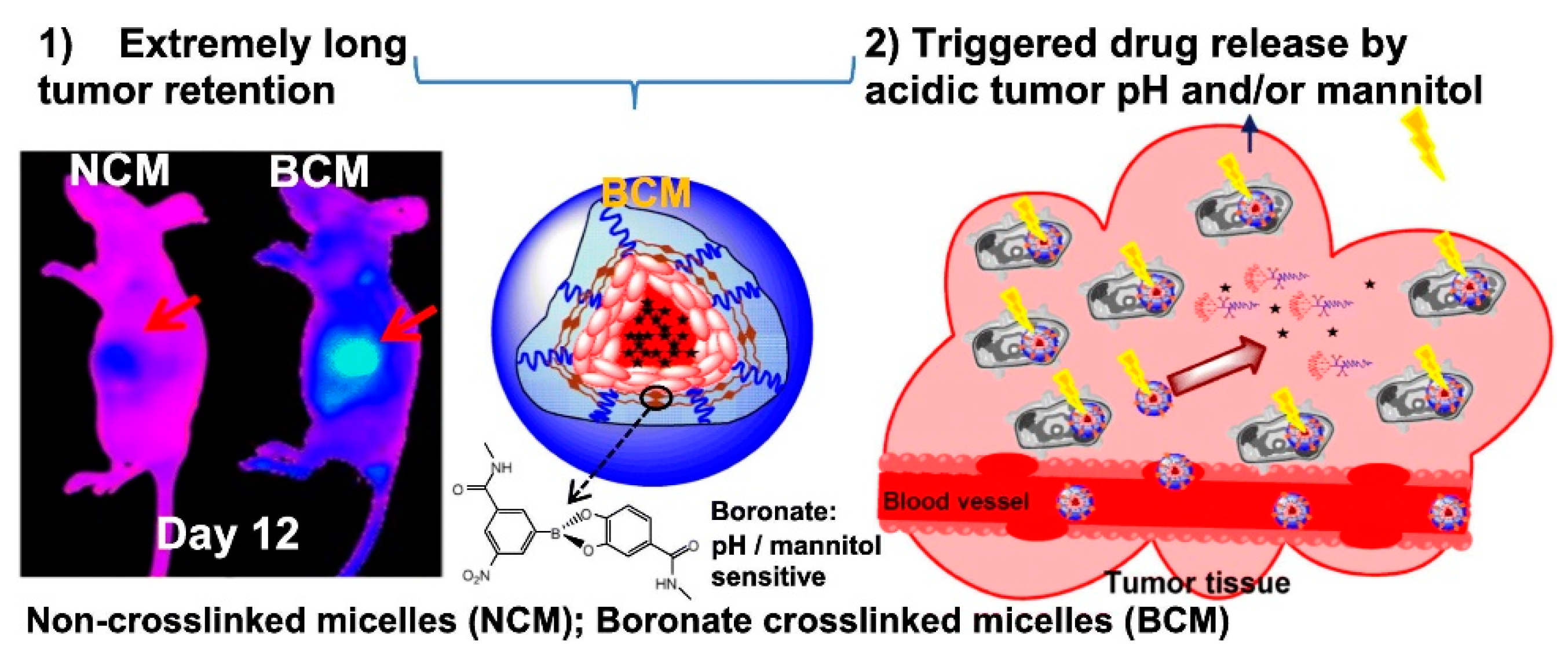 Pharmaceutics 13 01875 g003 Pharmaceutics 13 01875 g003
