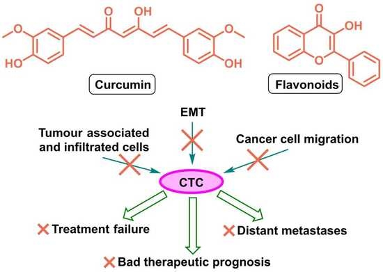 Pharmaceutics Free Full-Text Circulating Tumour Cells (CTCs) in NSCLC From Prognosis to Therapy Design