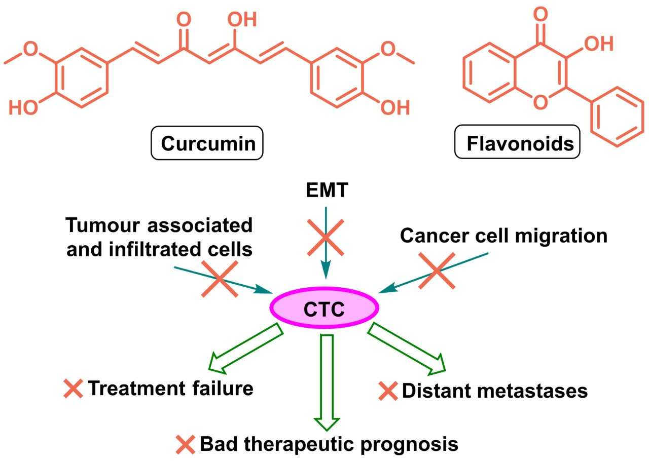 Pharmaceutics Free Full Text Circulating Tumour Cells Ctcs In Nsclc From Prognosis To Therapy Design Html