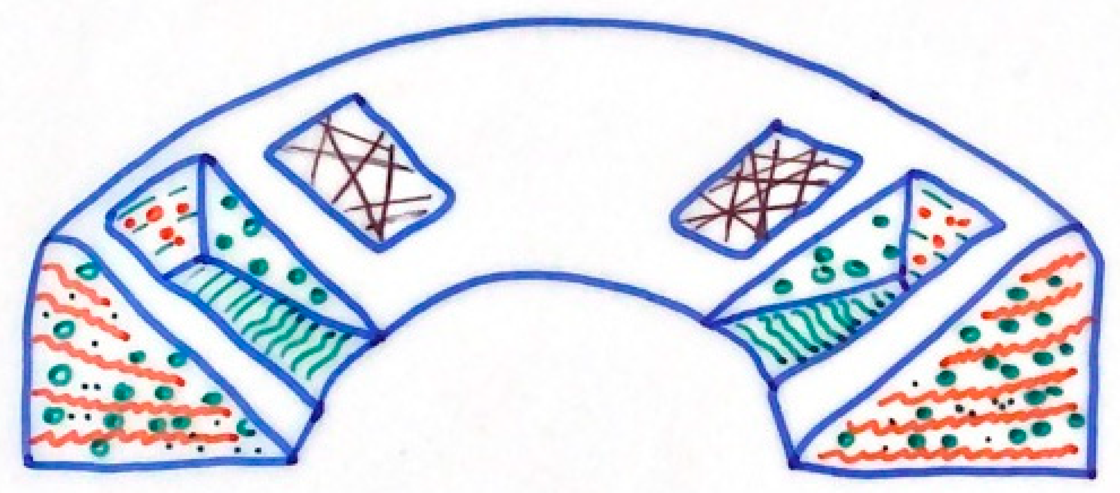 Pharmaceutics 13 01886 g003