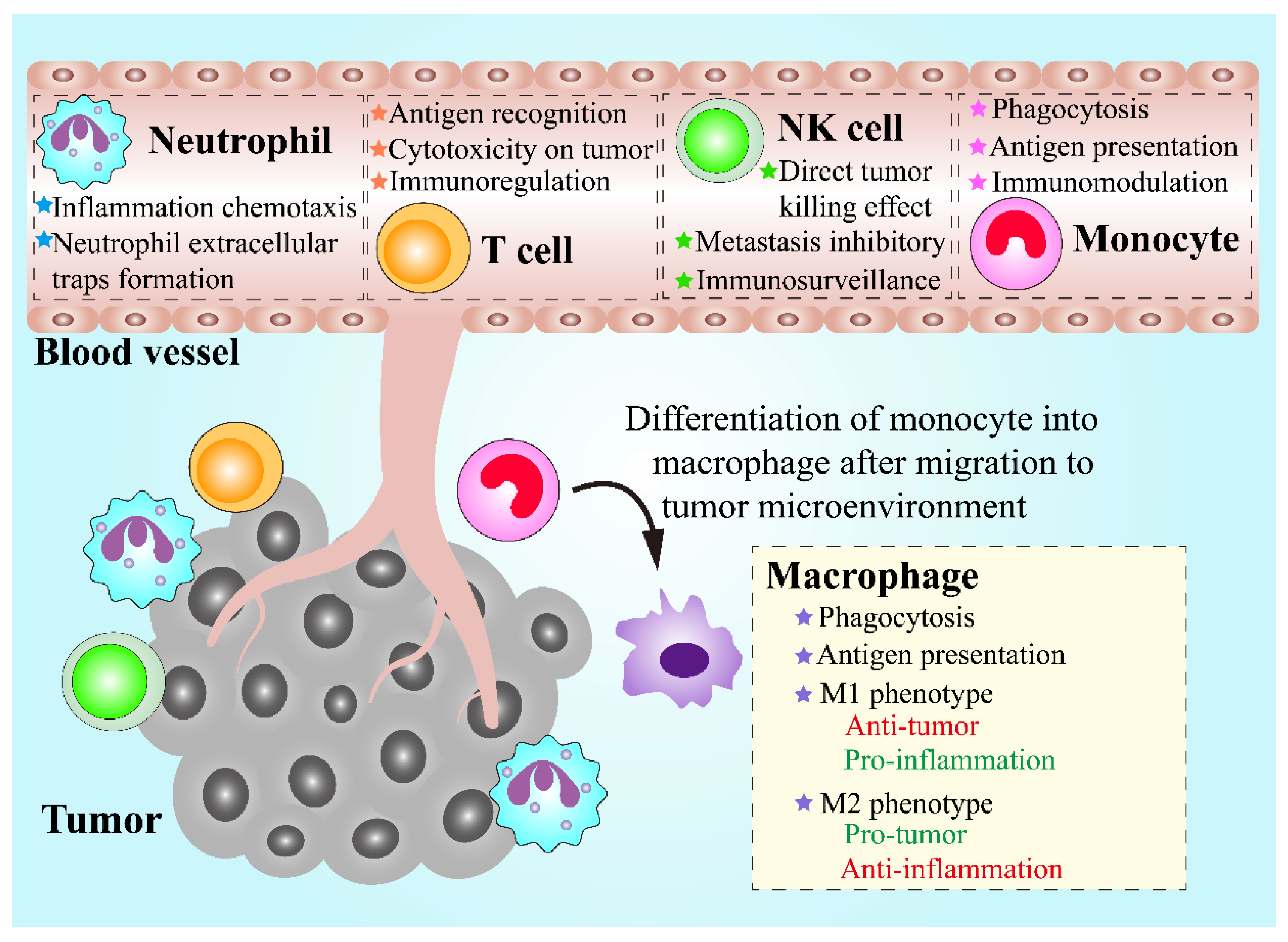 Pharmaceutics 13 01888 g002 550