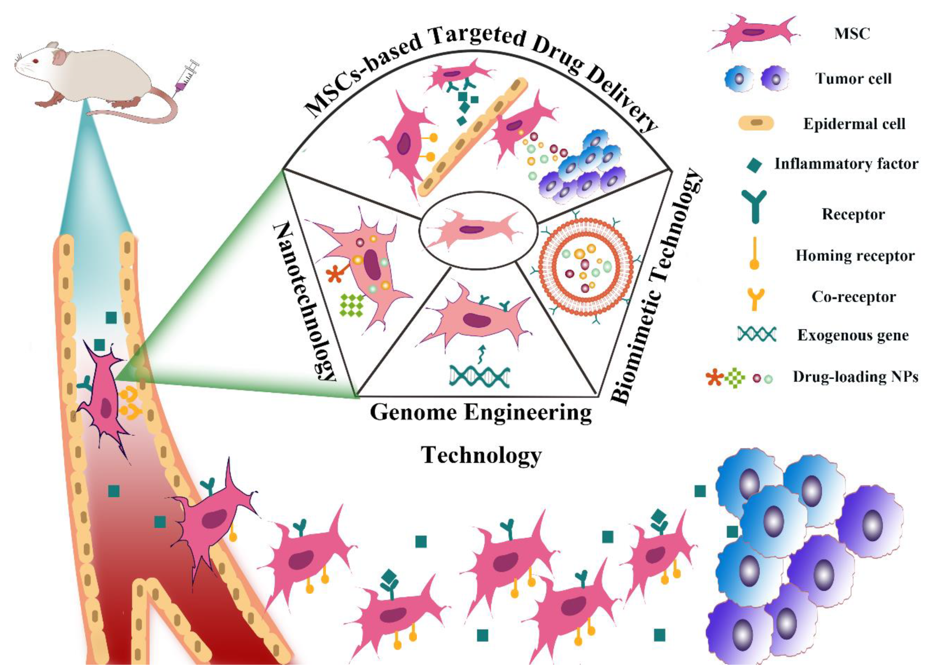 Pharmaceutics 13 01888 g005 550