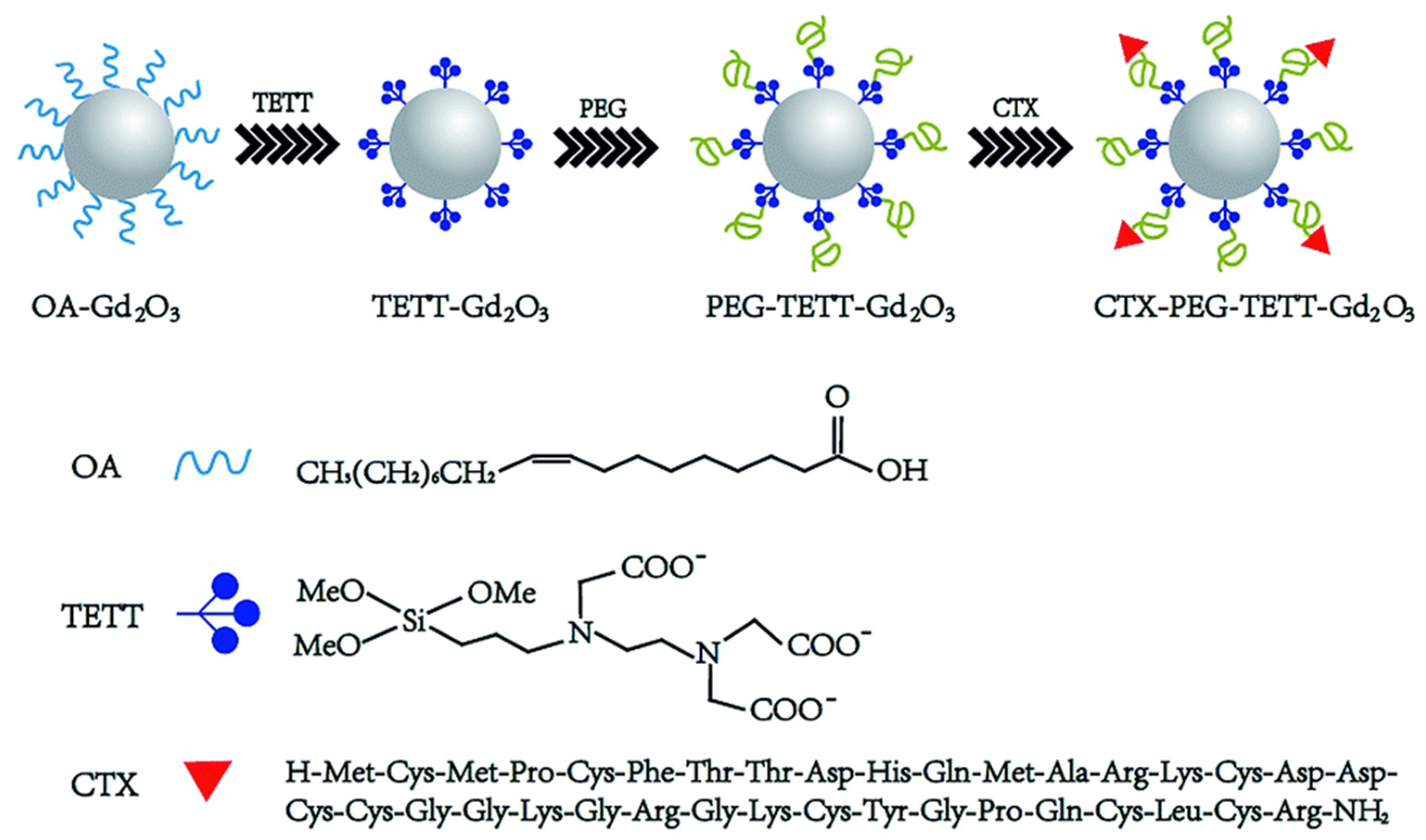 Pharmaceutics 13 01890 g003