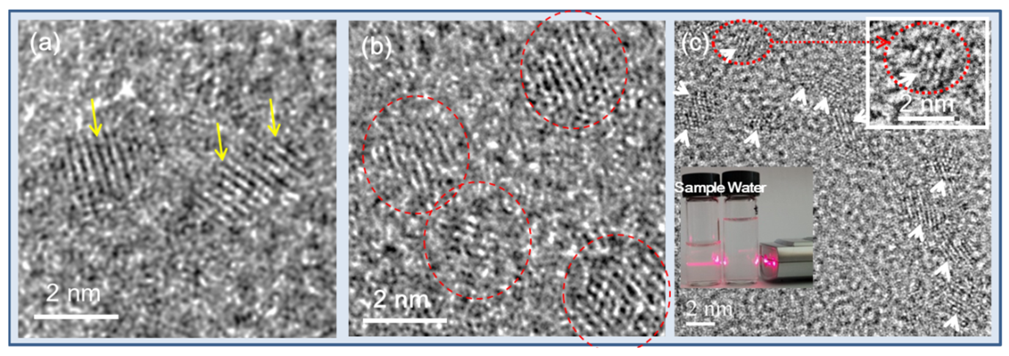 Pharmaceutics 13 01890 g004