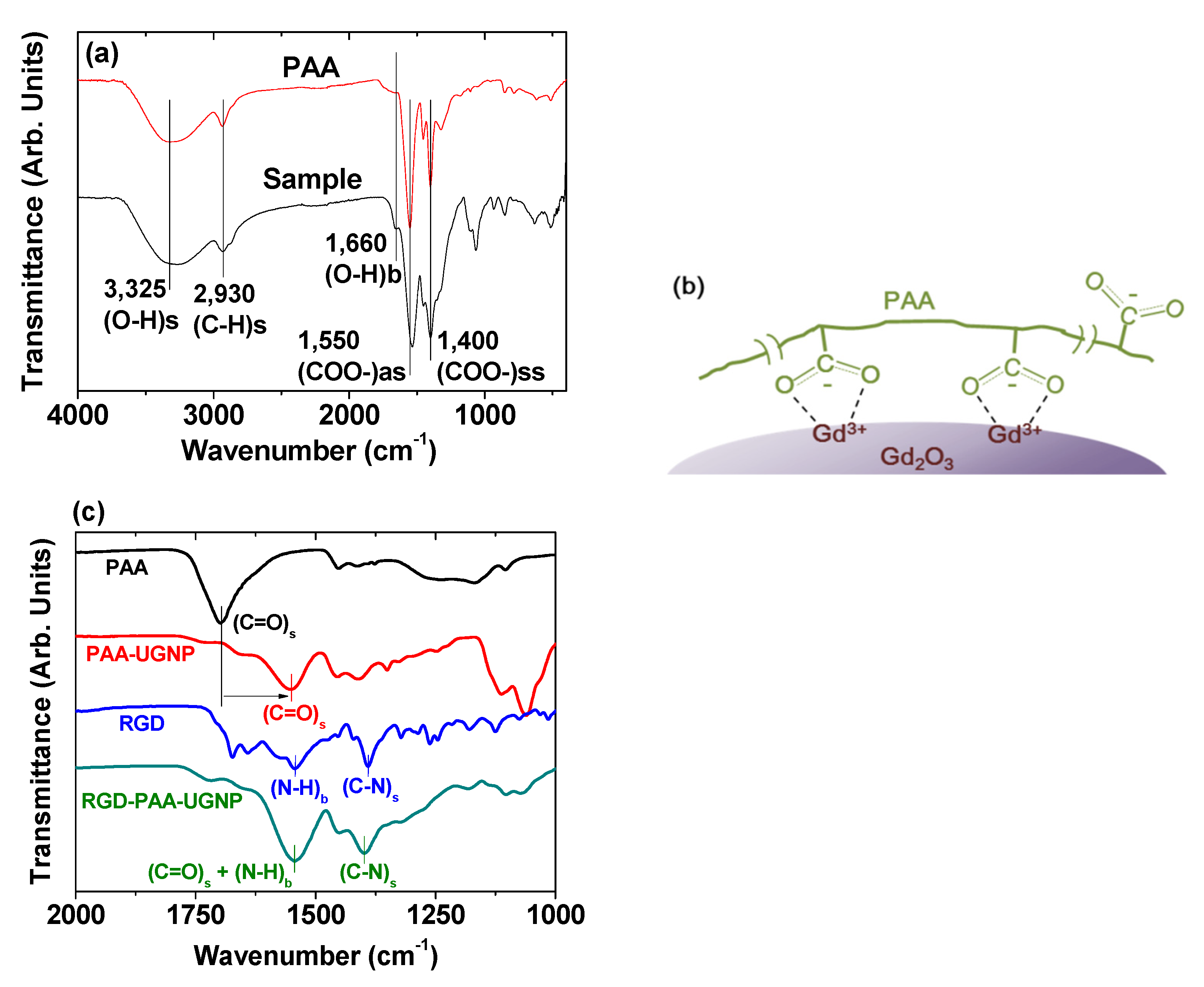 Pharmaceutics 13 01890 g006