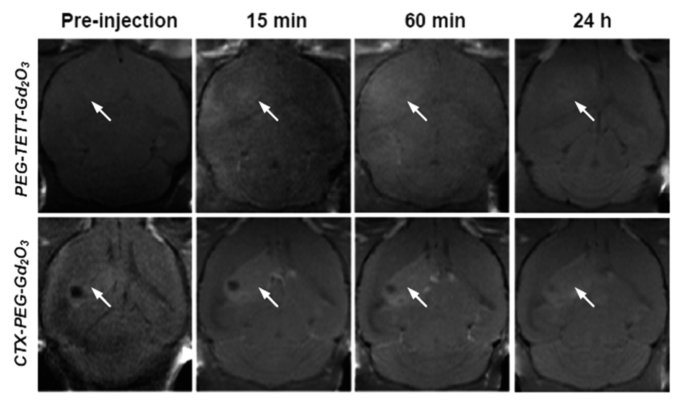 Pharmaceutics 13 01890 g010
