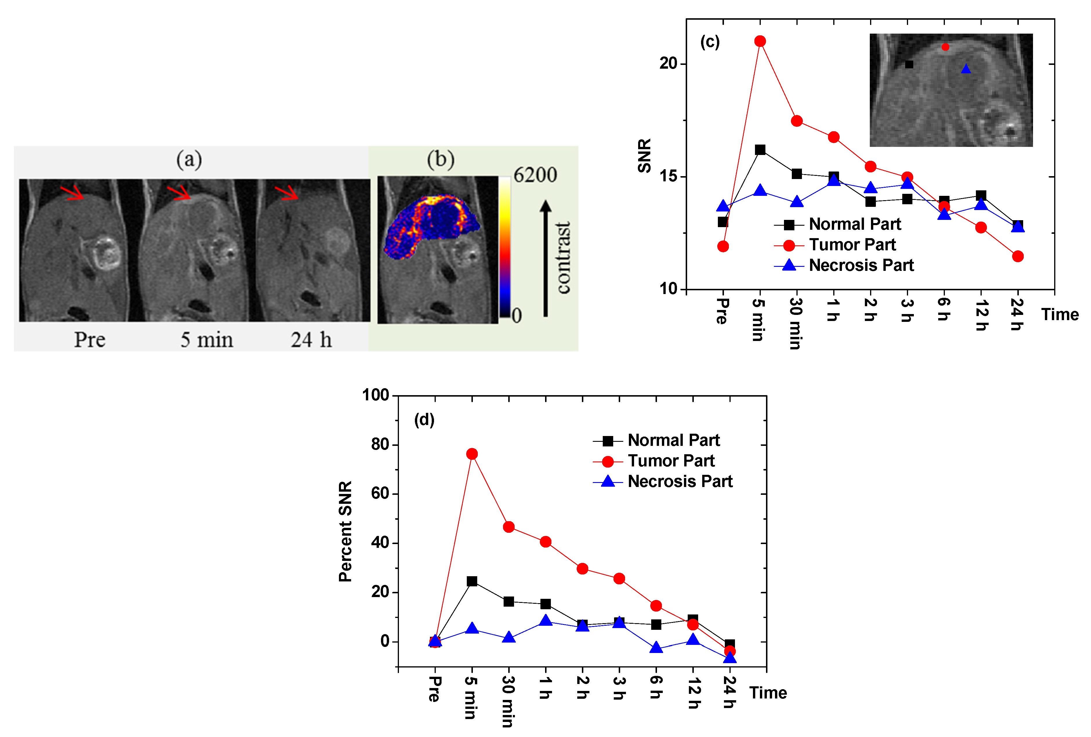 Pharmaceutics 13 01890 g012