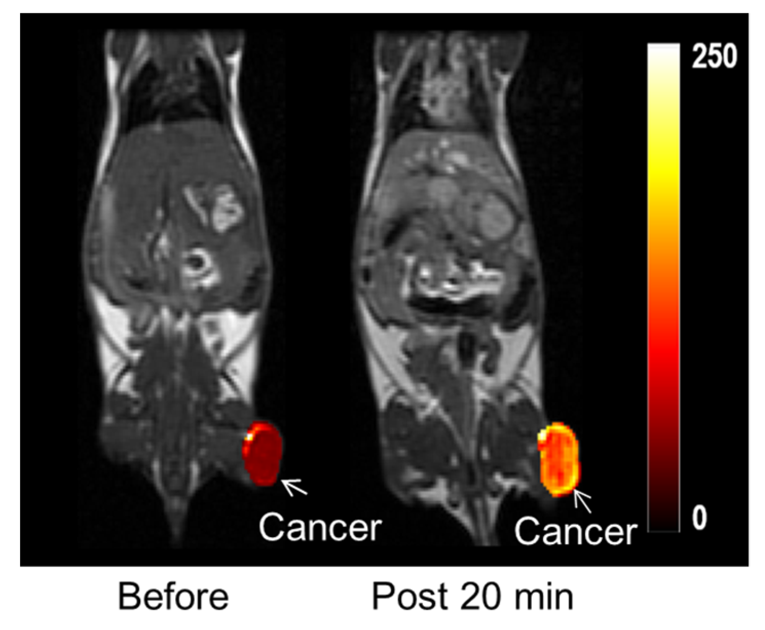 Pharmaceutics 13 01890 g013