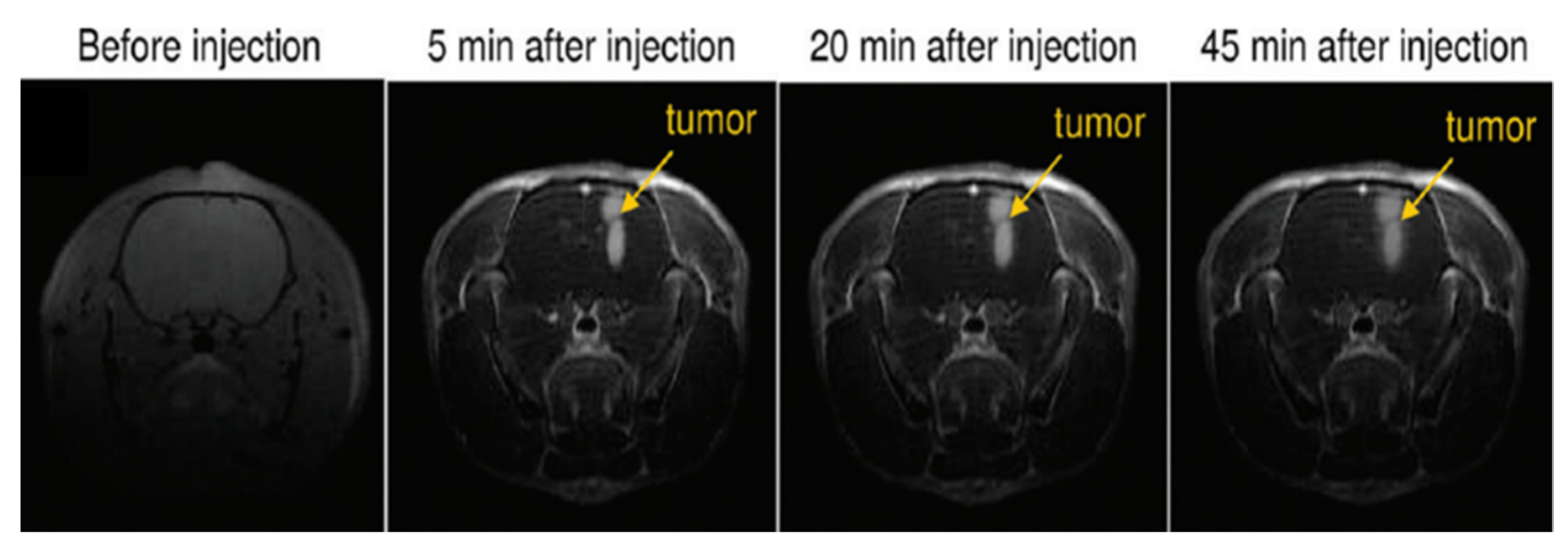Pharmaceutics 13 01890 g014