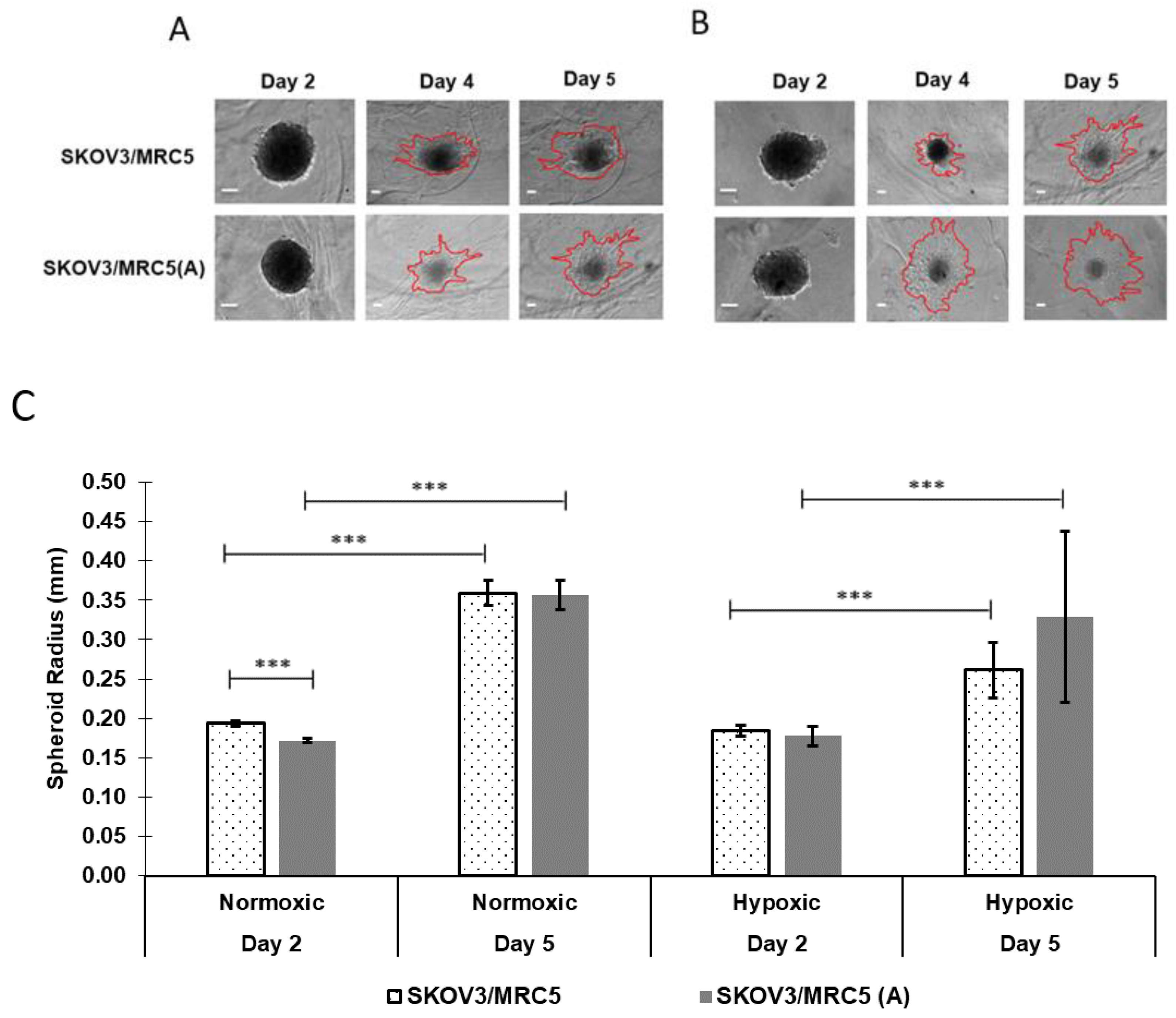 Pharmaceutics 13 01891 g003 Pharmaceutics 13 01891 g003