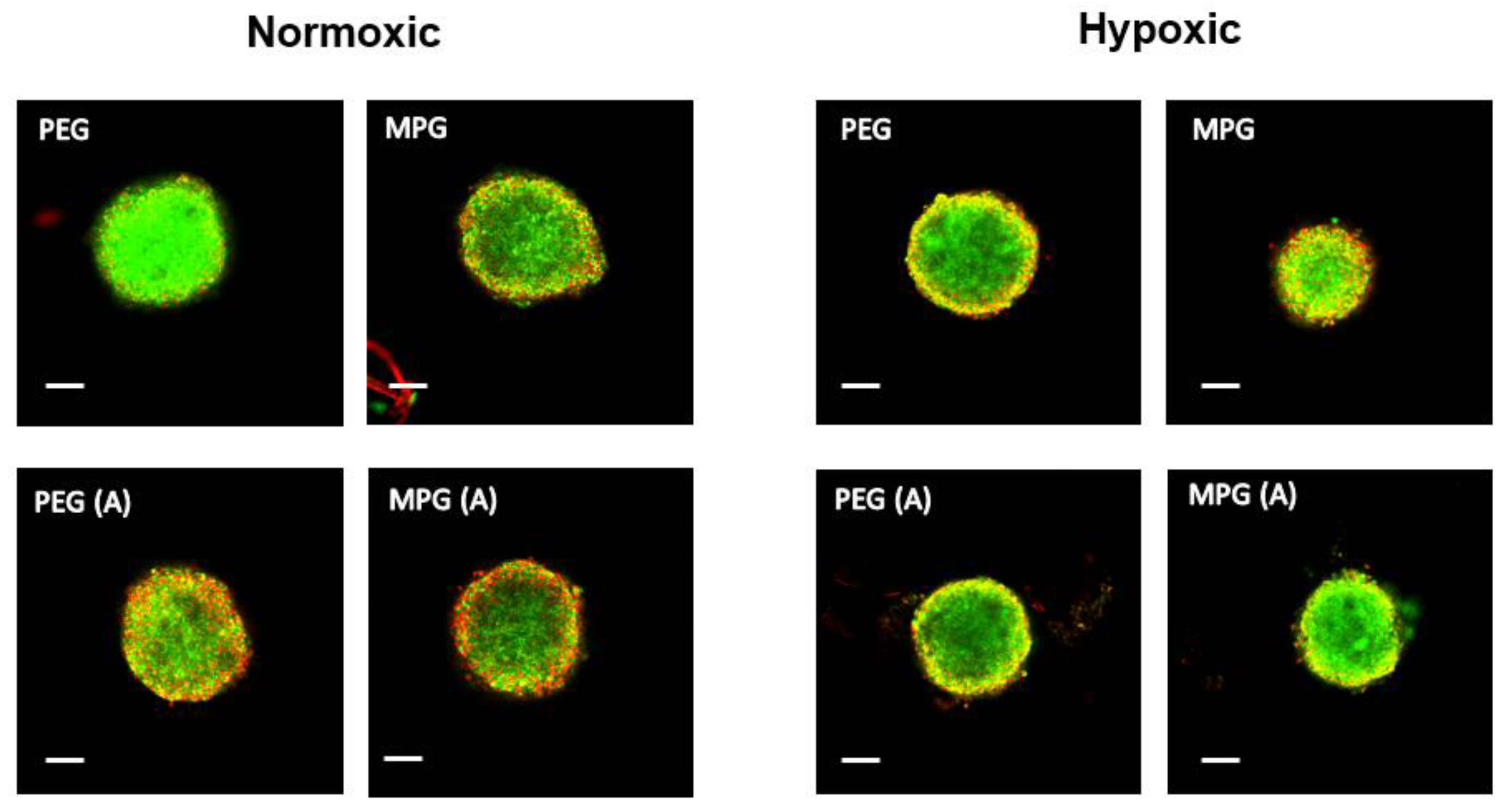 Pharmaceutics 13 01891 g004 Pharmaceutics 13 01891 g004