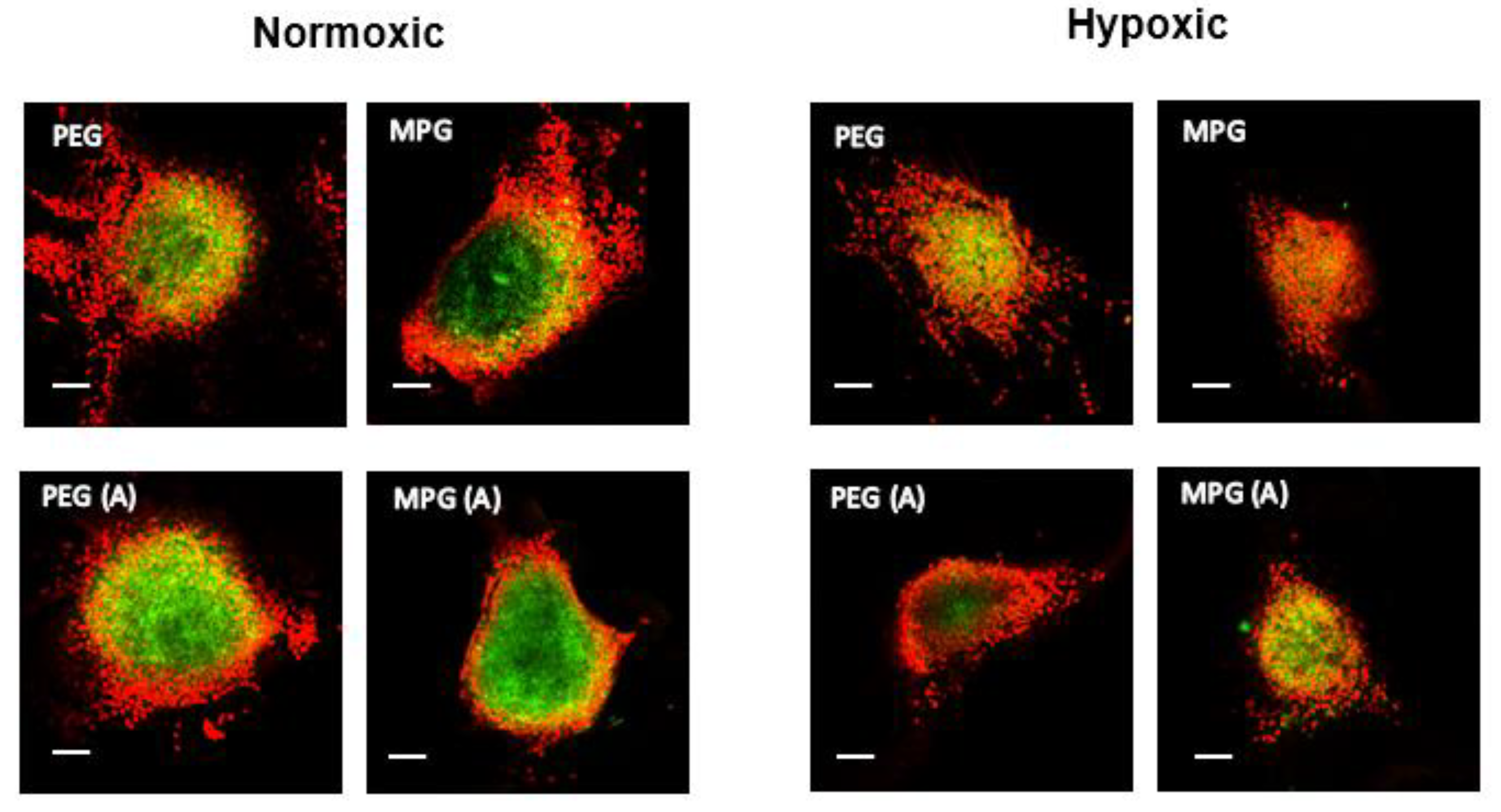 Pharmaceutics 13 01891 g006 Pharmaceutics 13 01891 g006