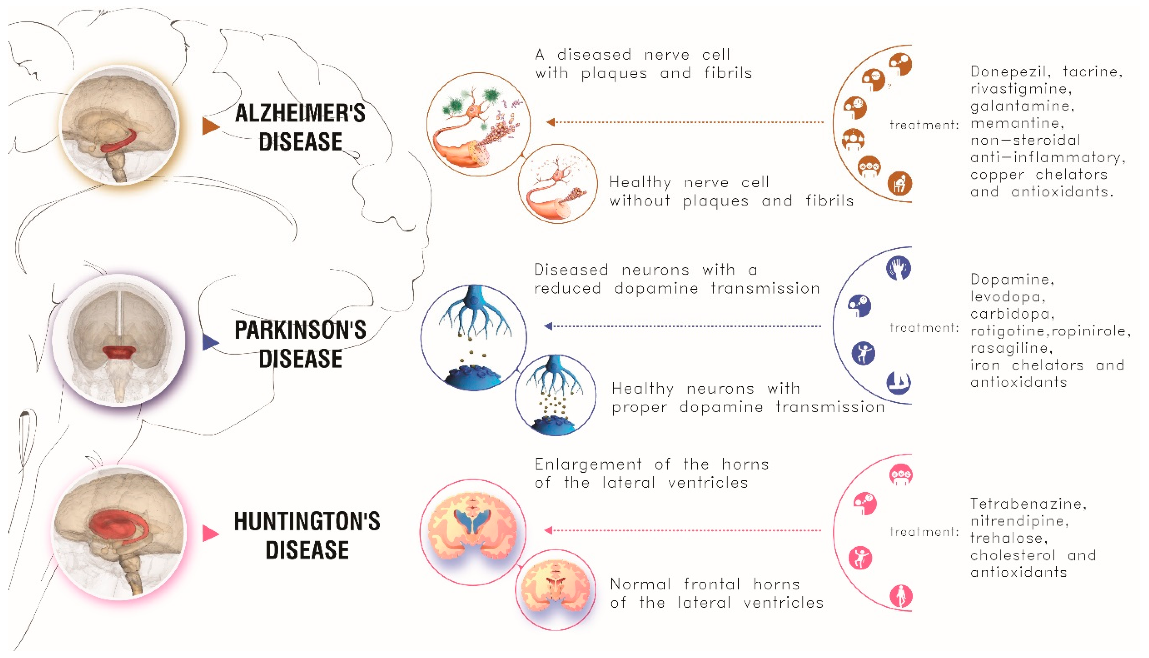 Pharmaceutics 13 01897 g004