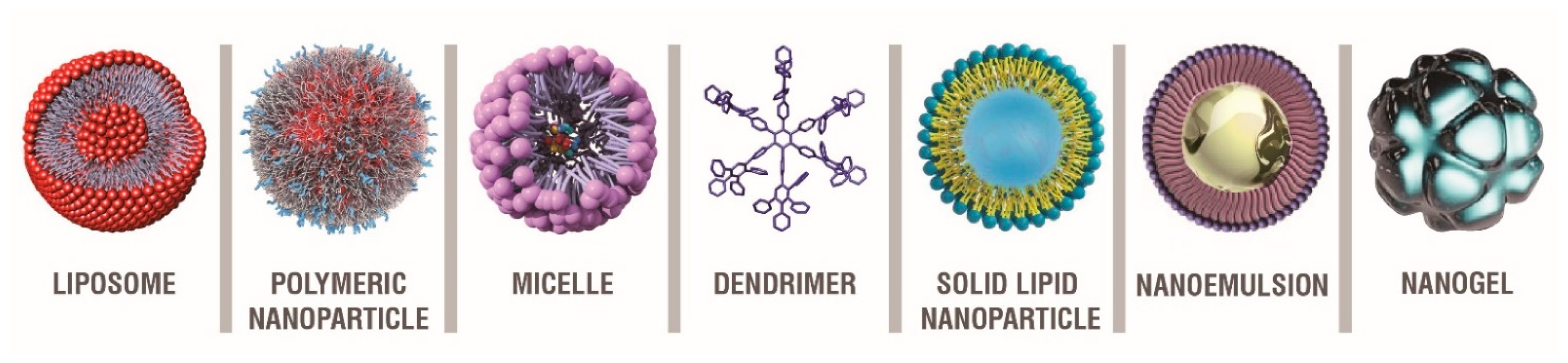 Pharmaceutics 13 01897 g007