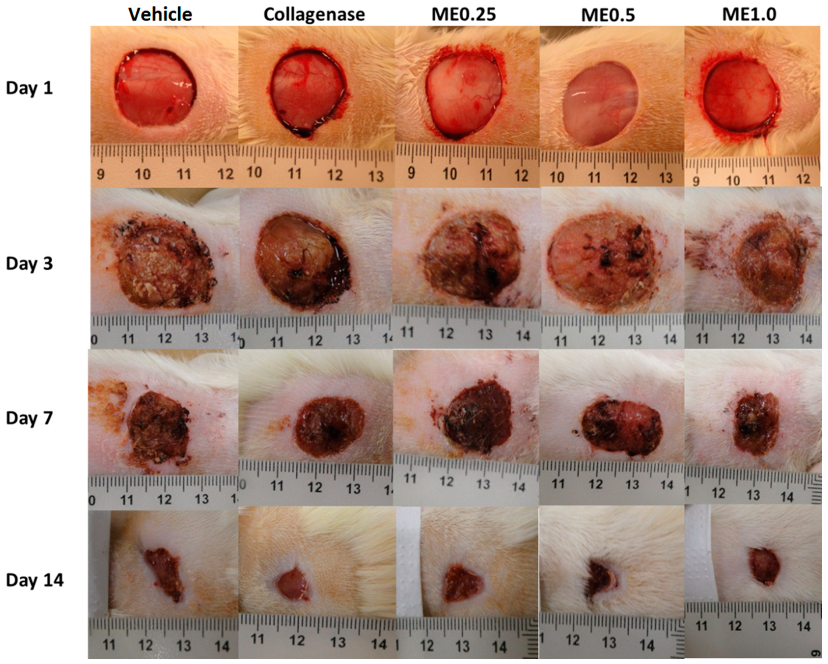 Pharmaceutics 13 01902 g002 550