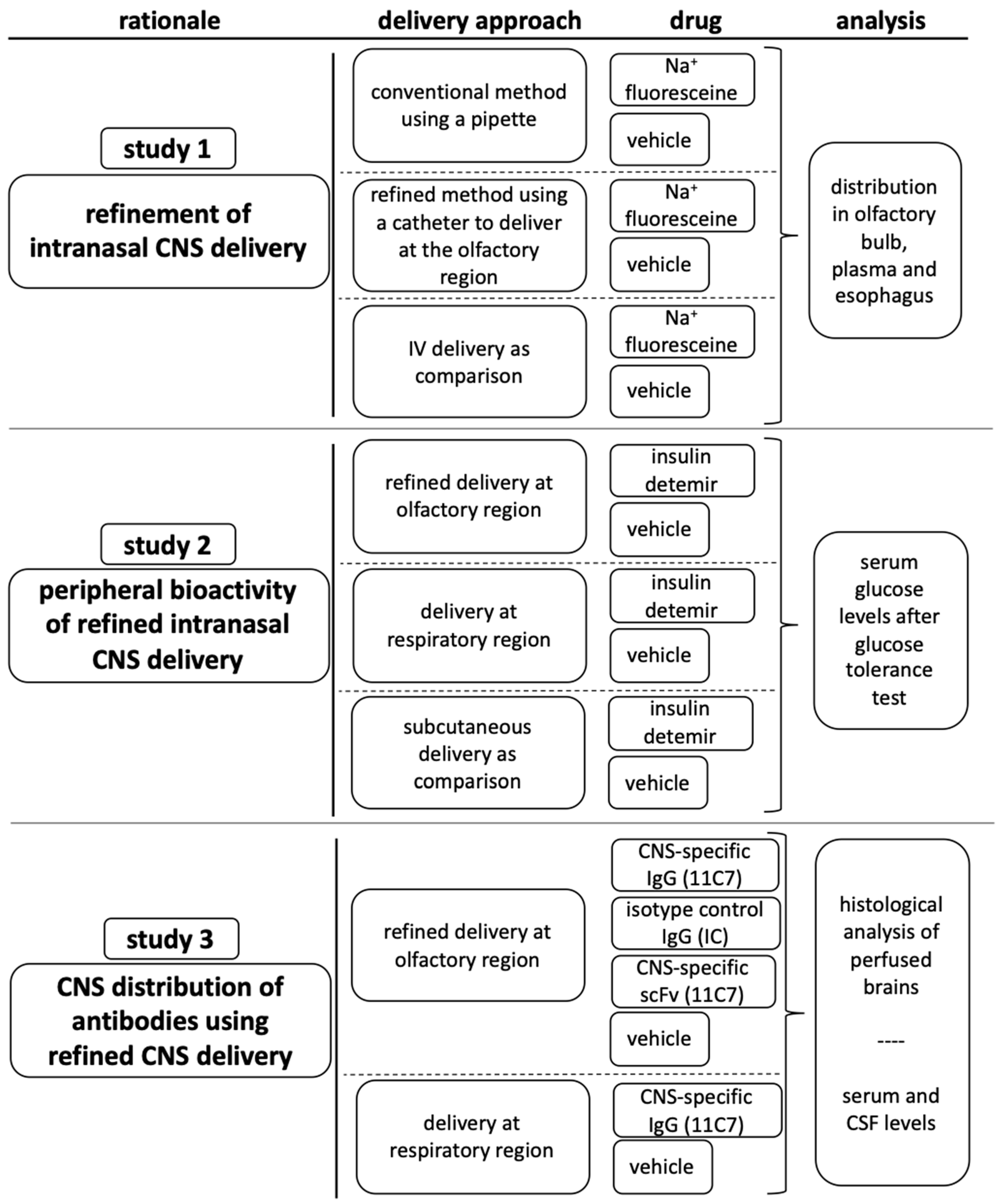 Pharmaceutics 13 01904 g001
