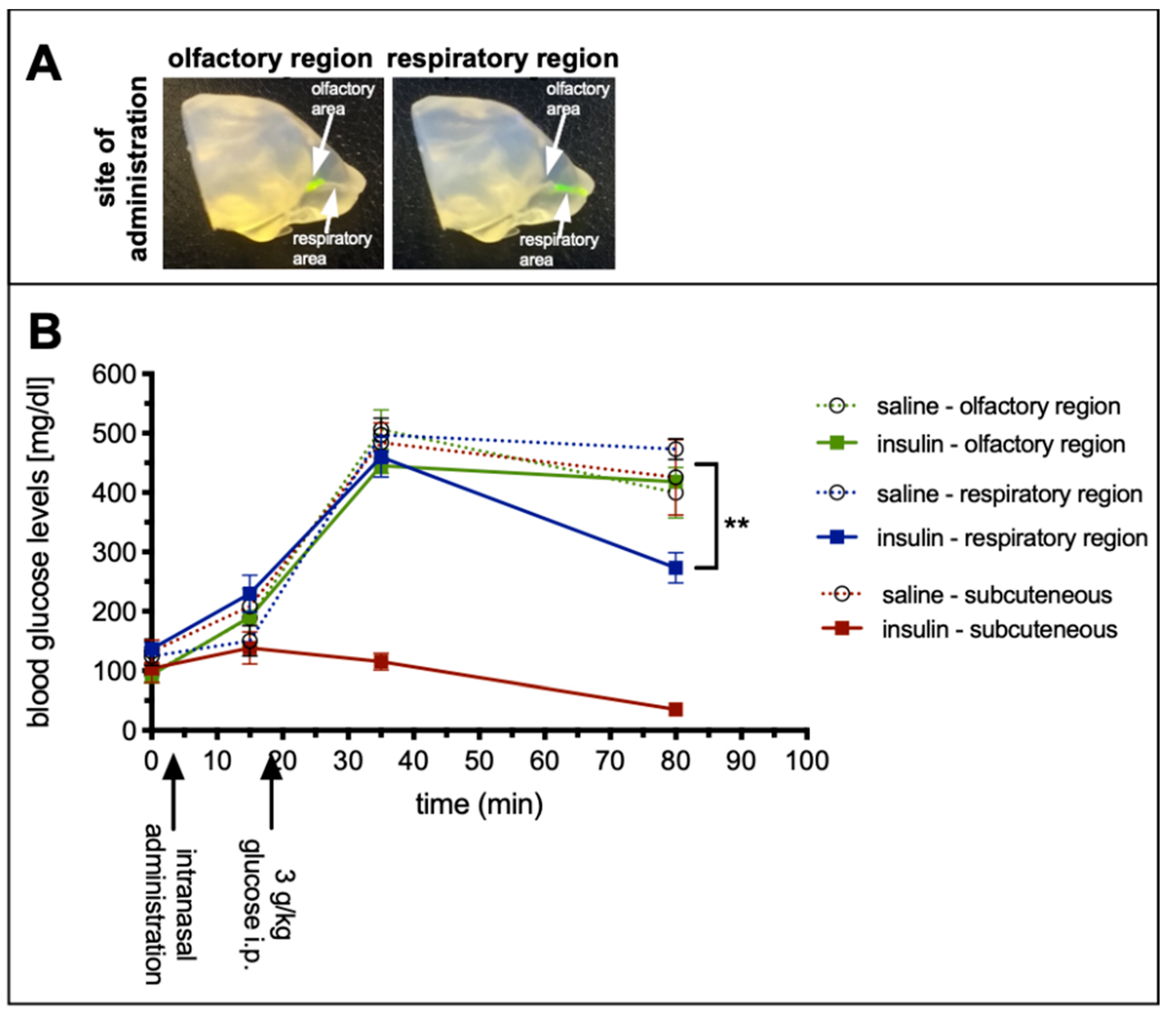 Pharmaceutics 13 01904 g003